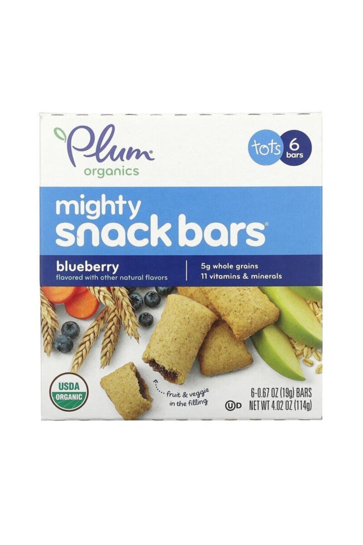 PLUM Organıcs Blueberry Atıştırmalık 114 gr