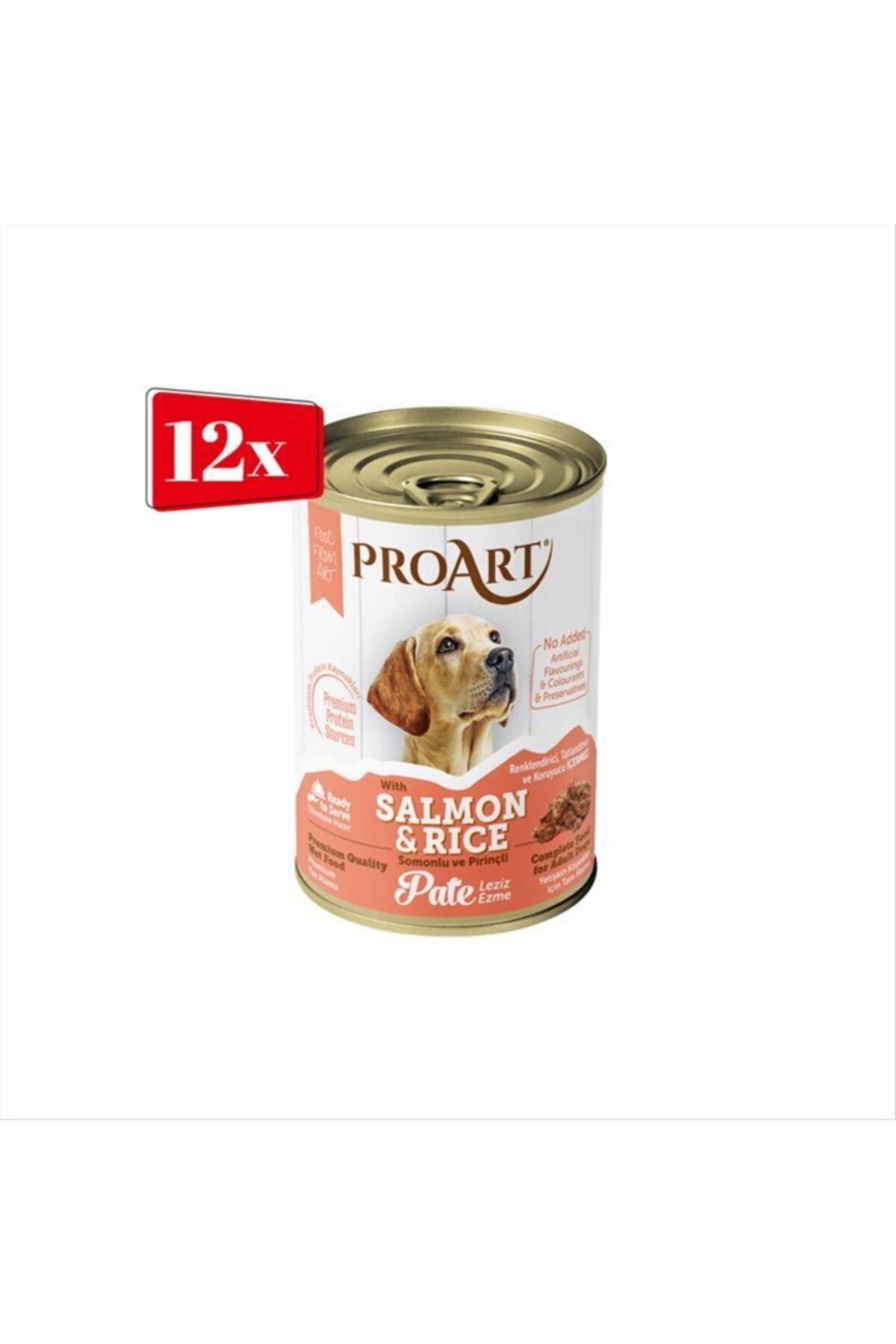 proart Yetişkin Köpek Somonlu Ve Pirinçli Ezme 400 gr X 12 Adet