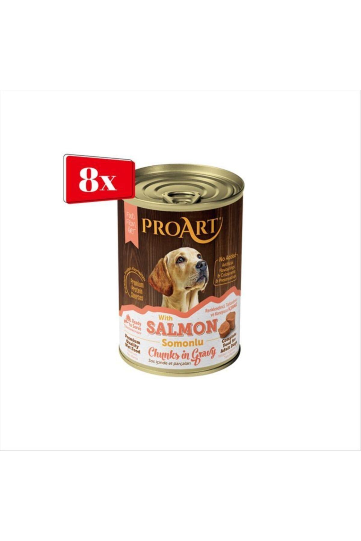 proart Yetişkin Köpek Somon Parça Etli Soslu Konserve Maması 400 gr X 8 Adet