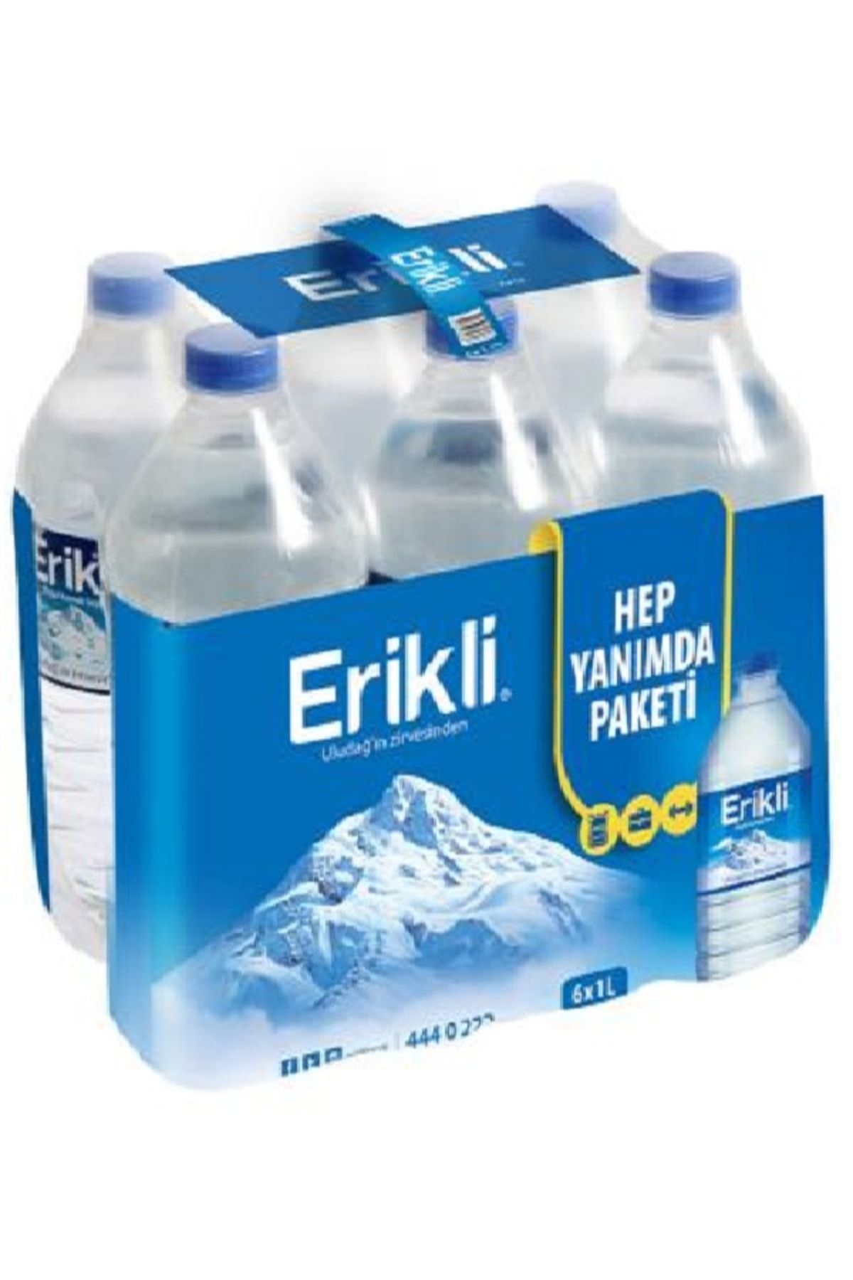 Erikli 1lt 6'lı