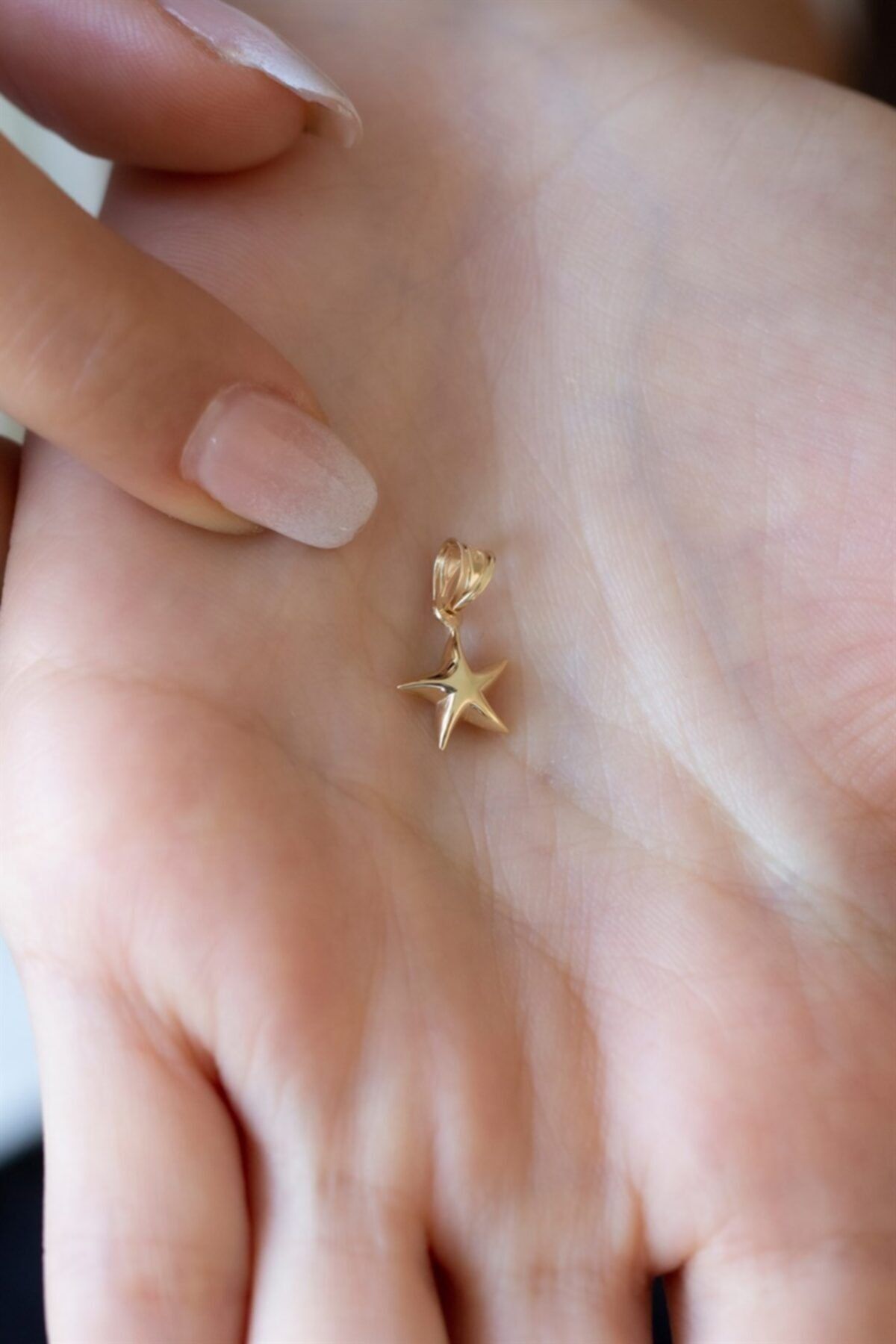 Goldium Jewellery Altın Deniz Yıldızı Uç Kolye