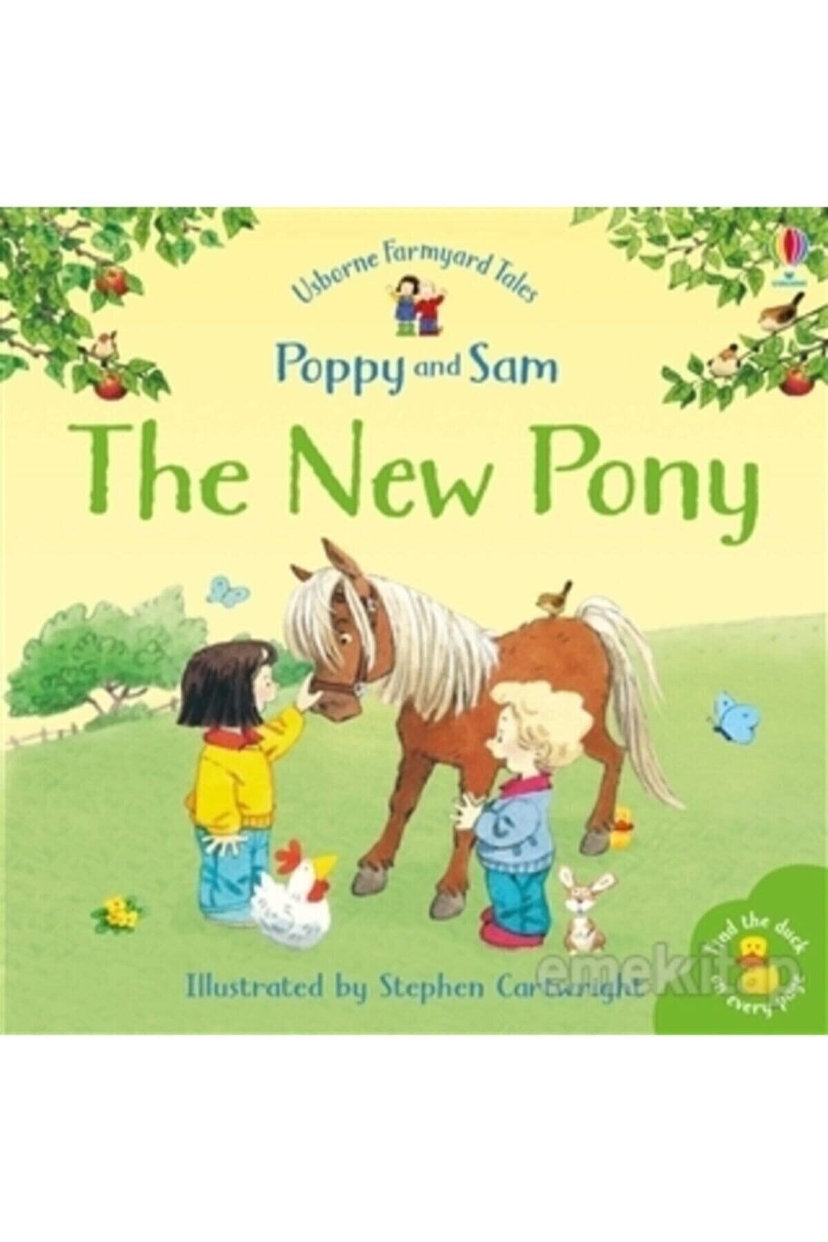 Usborne Yayınları Usborne : The New Pony