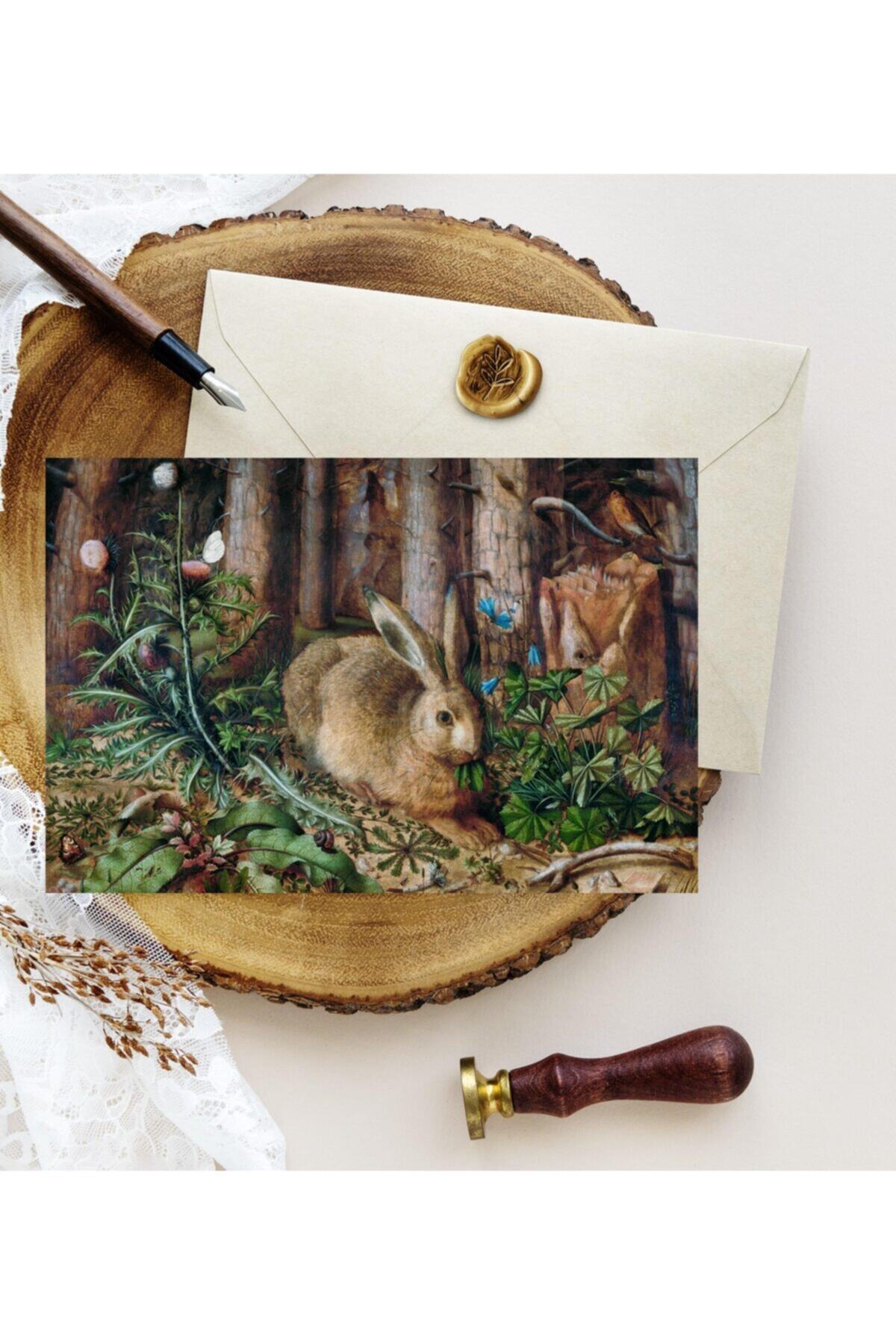 Kartpostal Kutusu 5'li Kartpostal - Tavşan