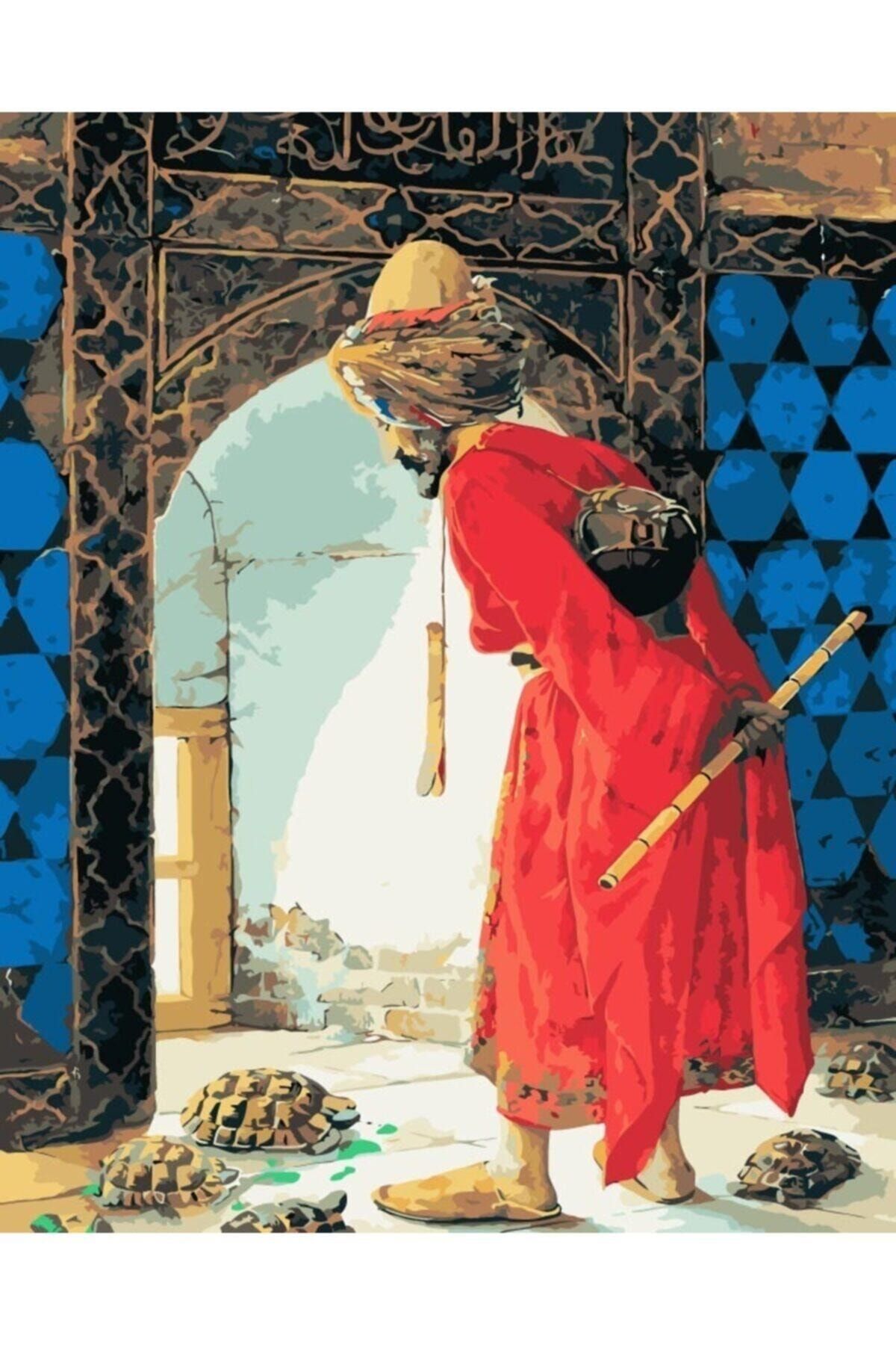 Talehobby Kaplumbağa Terbiyecisi Çerçeveli 40x50 Cm