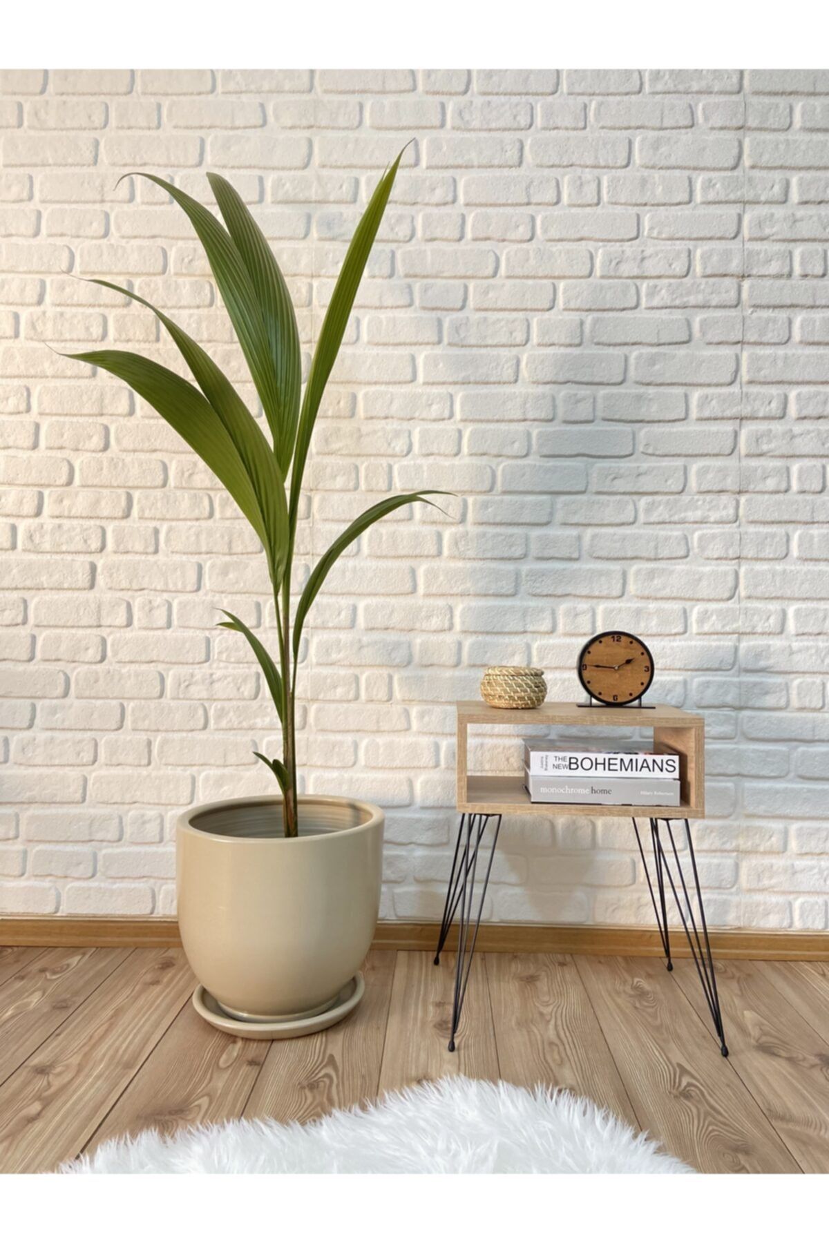 odka Saksı Tabaklı 40cm Taş Renk