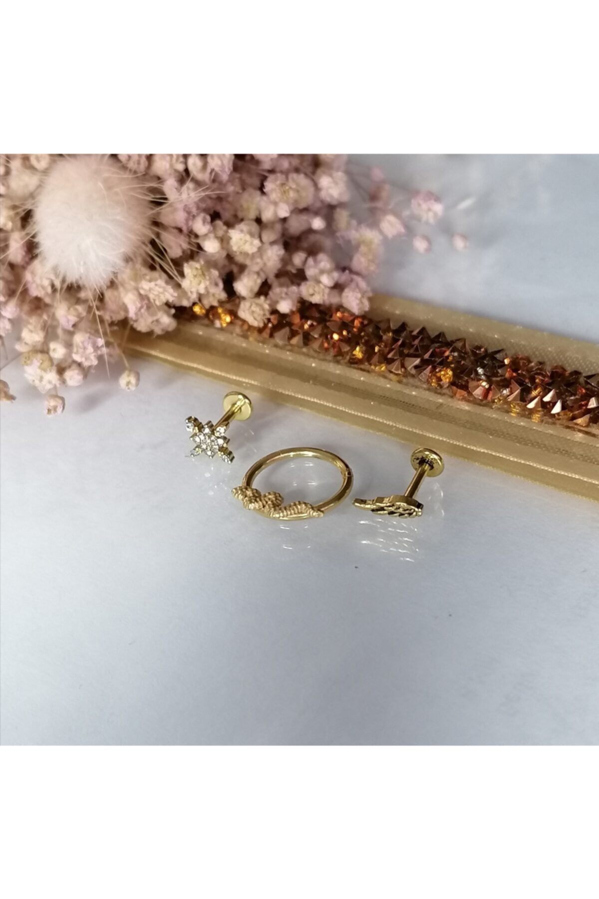 TAKIDAN Kuzey Yıldızlı Taşlı, Tam Halka Yılanlı, Kanatlı Üçlü Kombin Kıkırdak Piercing Küpe 6 Mm