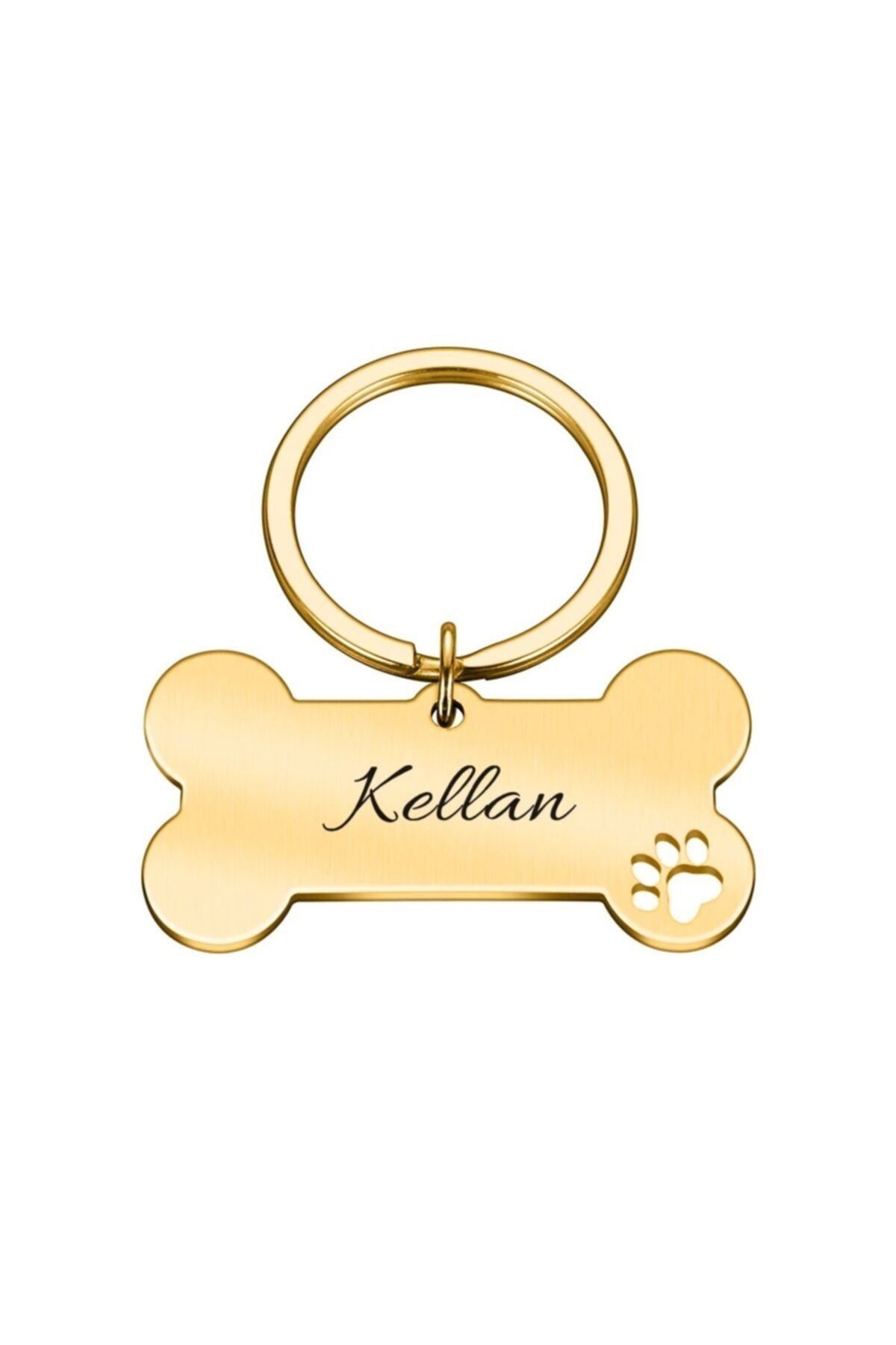 PATİMİO Isimli Çelik Kedi Köpek Hayvan Künyesi