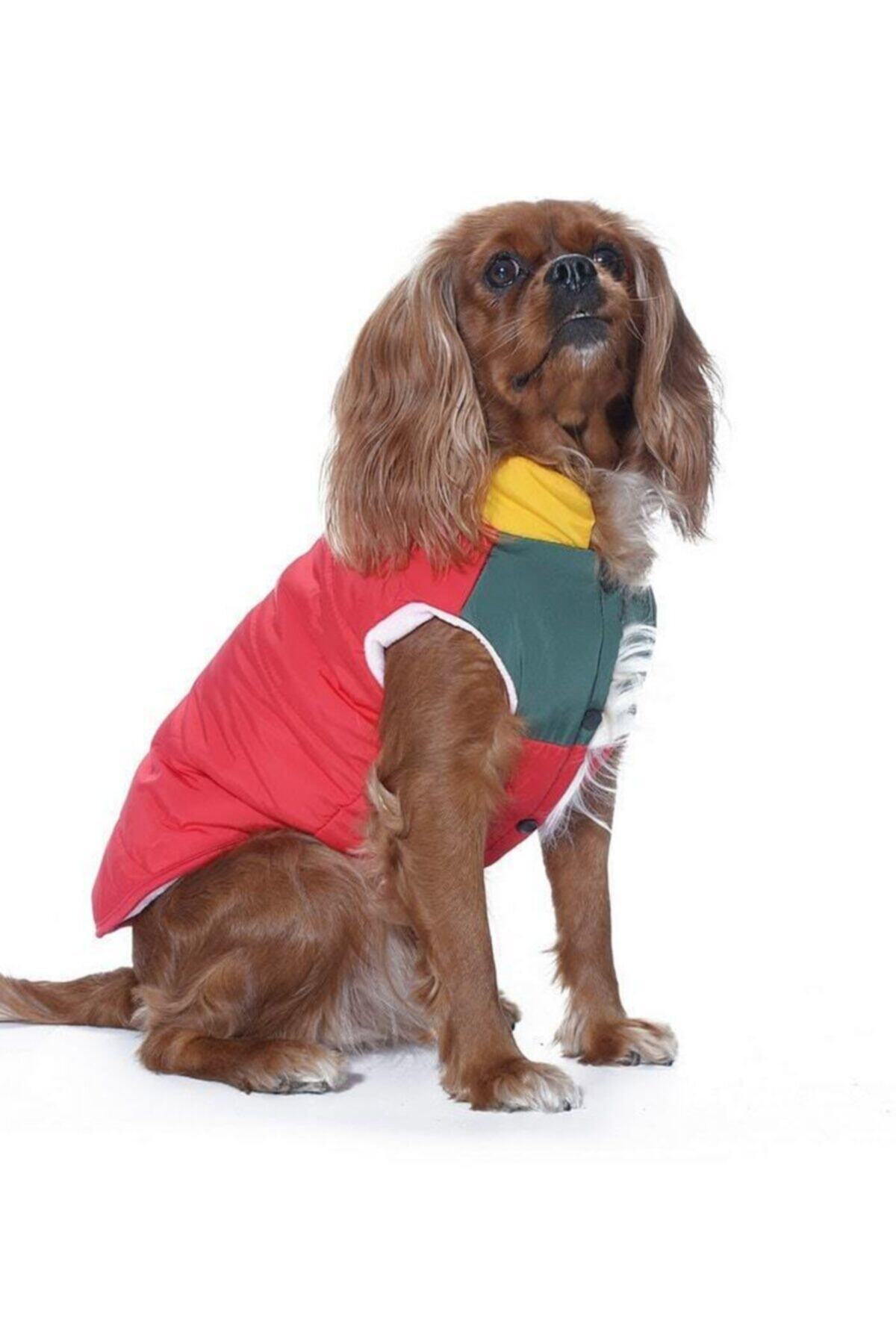 Petza Küçük Ve Orta Irk Köpek Mont Murpota Kırmızı