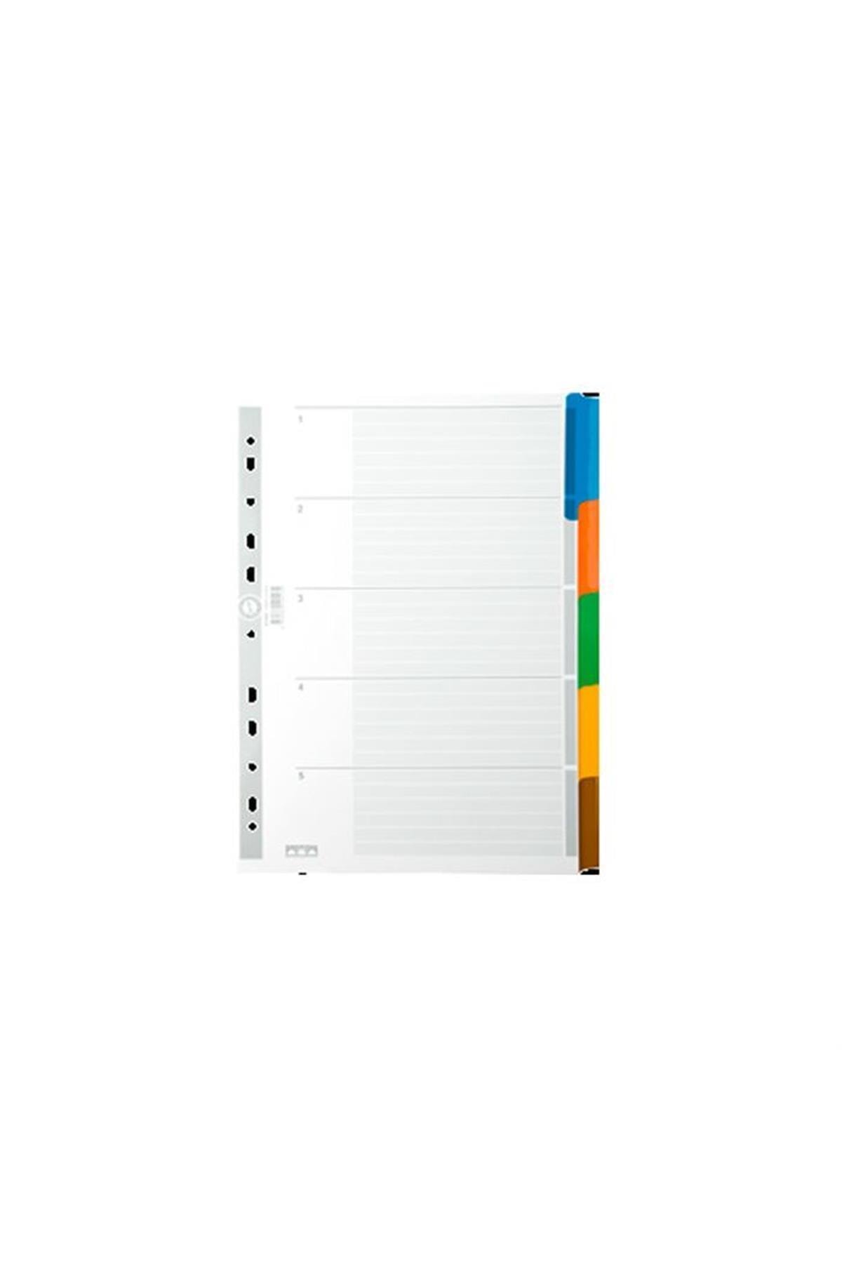 Serve 1-5 Renk Ayraç 5520-k