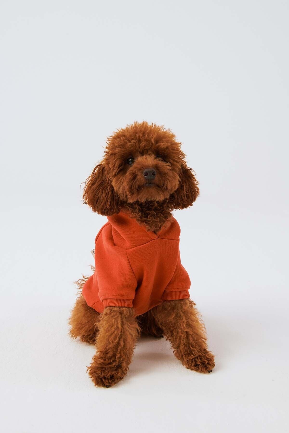 Bruno Society Doğa Dostu Kumaştan Kapüşonlu Köpek Sweatshirt