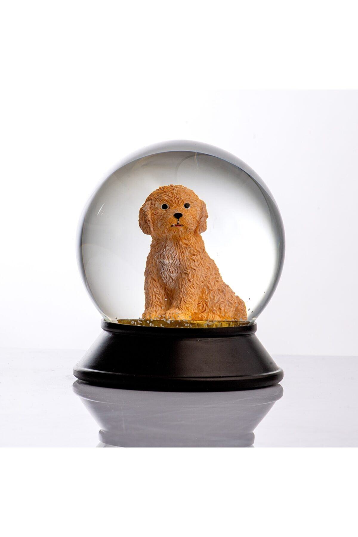 SNOOWG Cam Ve Reçine Altın Patiler Toy Poodle (kayısı) Kar Küresi