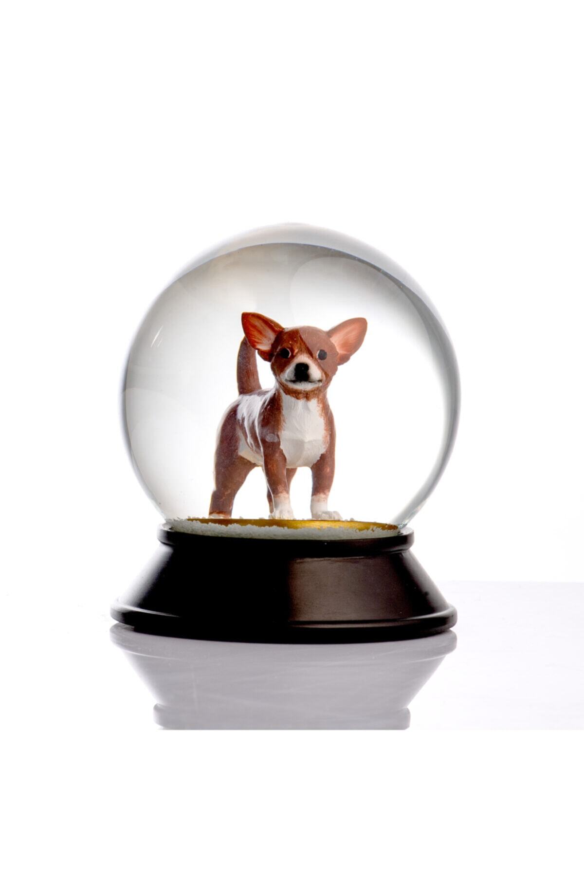 SNOOWG Cam Ve Reçine Altın Patiler Chihuahua (kahverengi) Kar Küresi