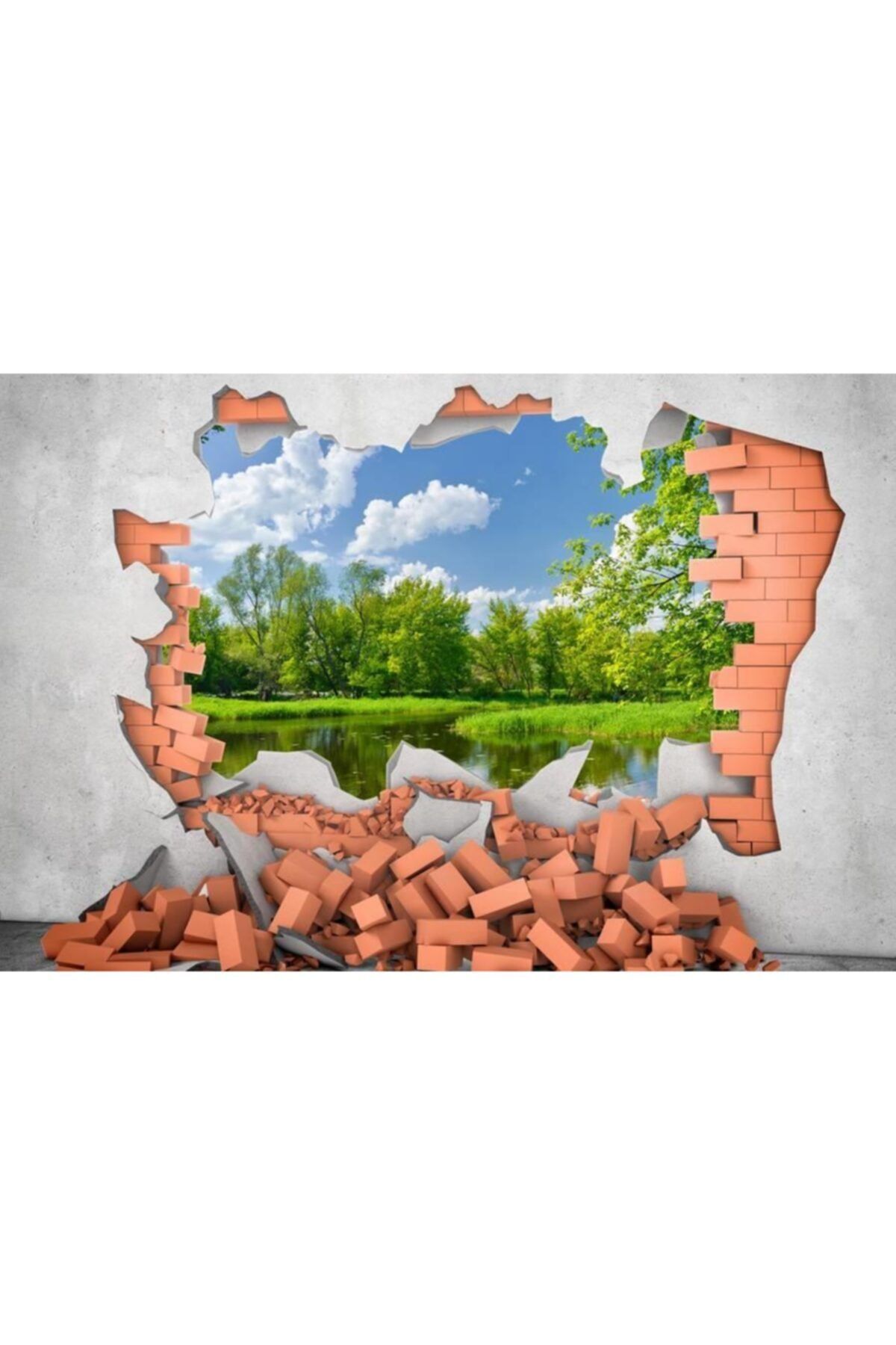 Renkli Duvarlar Kırık Duvardan Göl Manzara Duvar Kağıdı 4.00x2.30