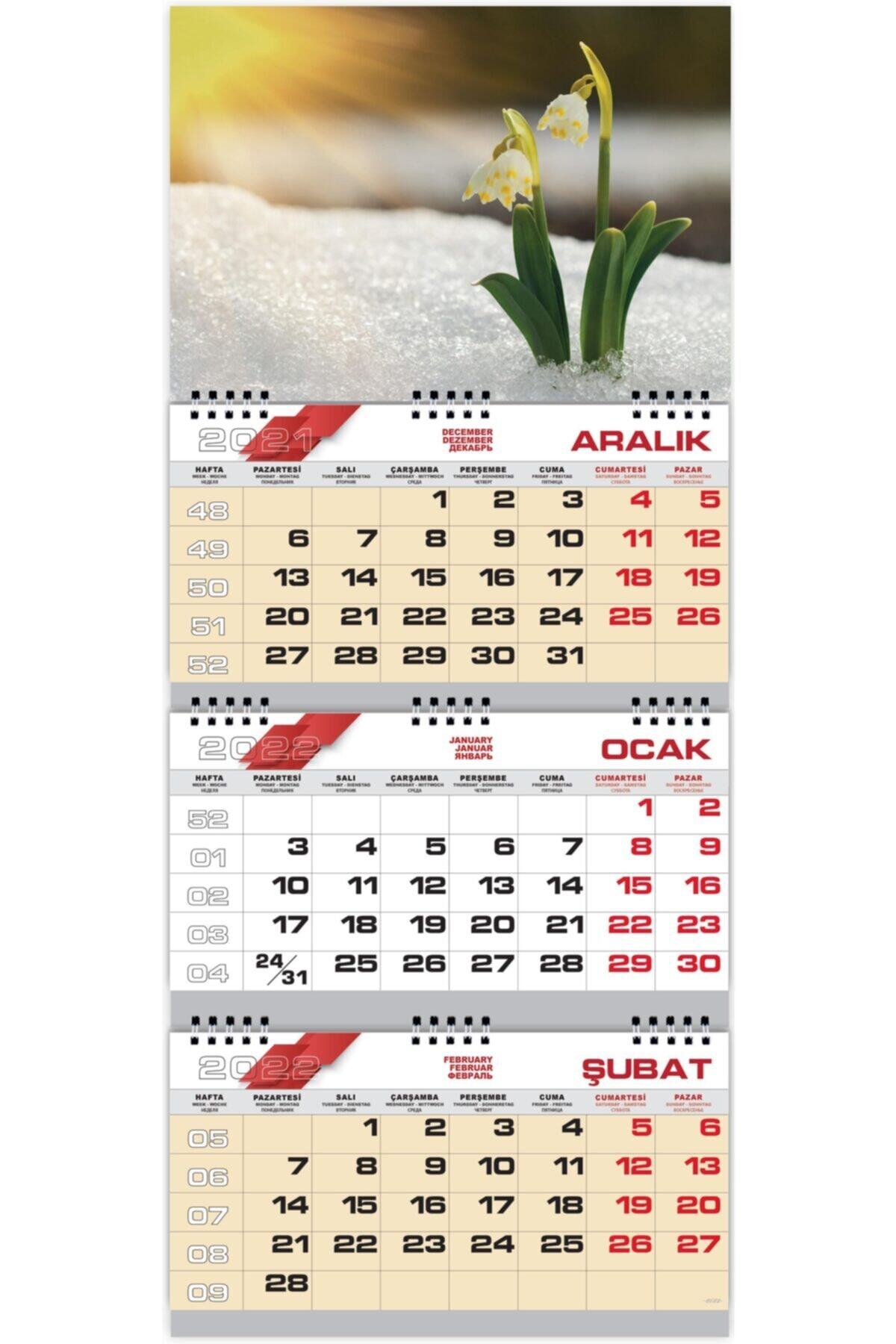 StickerArt 2022 Büyük Boy Extra Gemici Takvimi Denizci Duvar Takvimi 33x77,5 cm