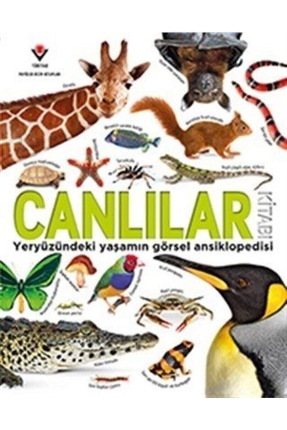 Tübitak Yayınları Canlılar Kitabı - Yeryüzündeki Yaşamın Görsel Ansiklopedisi