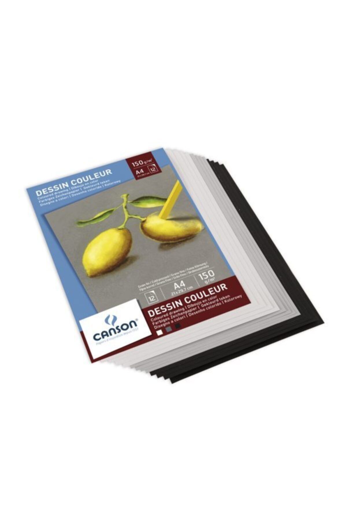 Canson Dessin Couleur 3 Renk Pastel Defteri A4 150gr 12 Yaprak