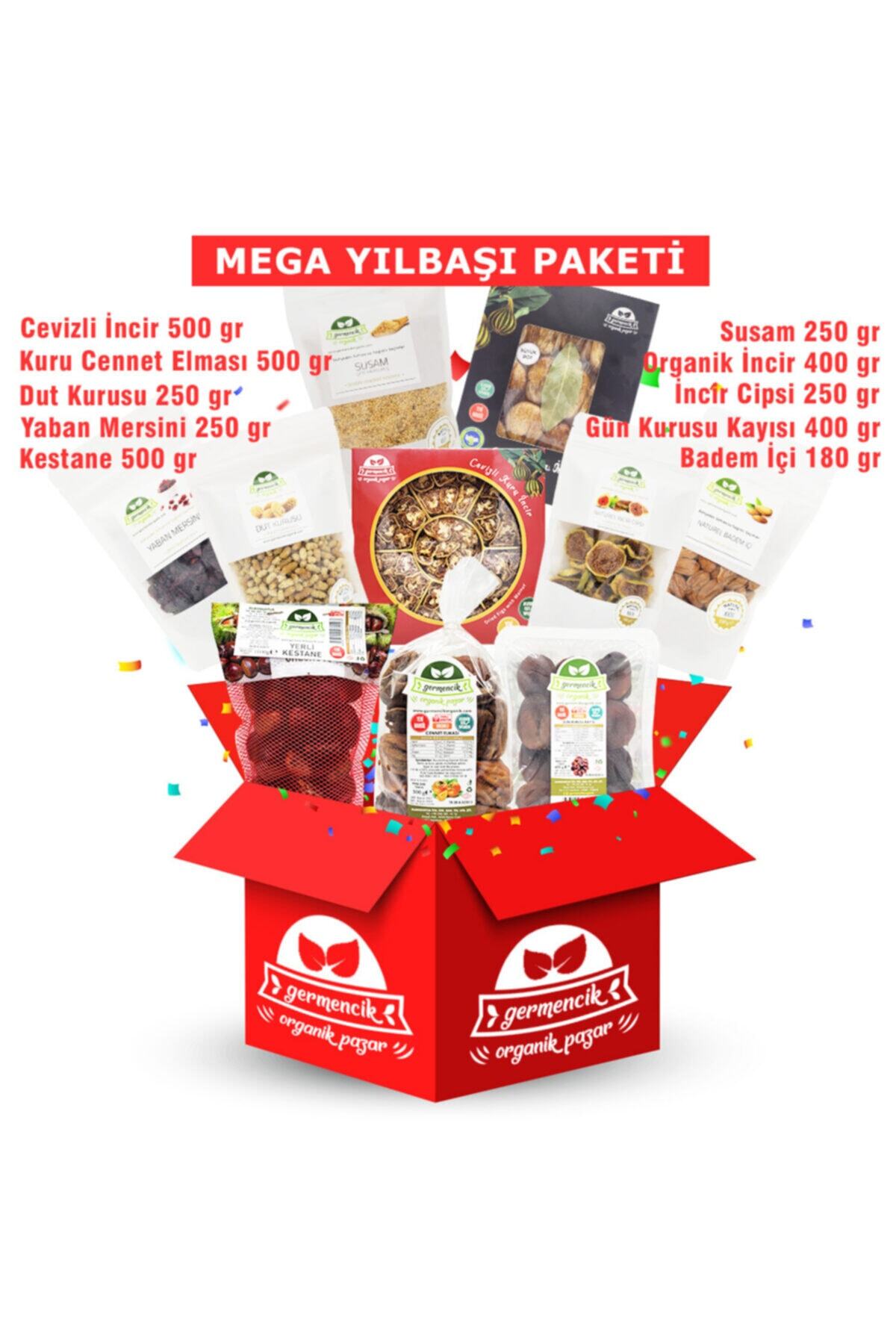 Germencik Organik Mega Yılbaşı Paketi - Doğal Gıda Paketi