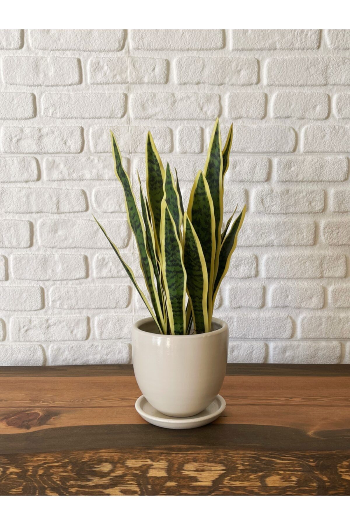 odka Saksı Tabaklı 17cm Ekru