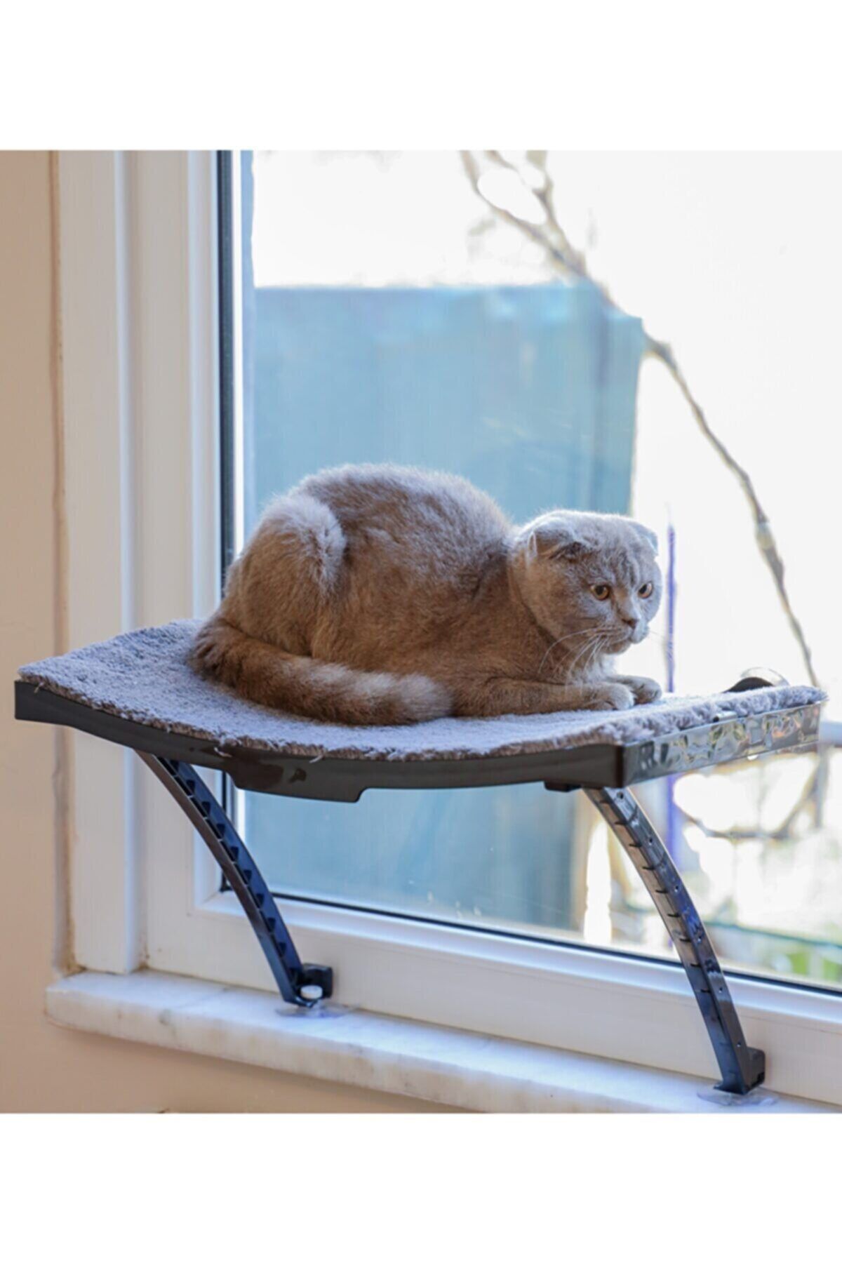 29thslum Yeni Model Cam Ve Duvar Için Kedi Yatağı Vantuzlu