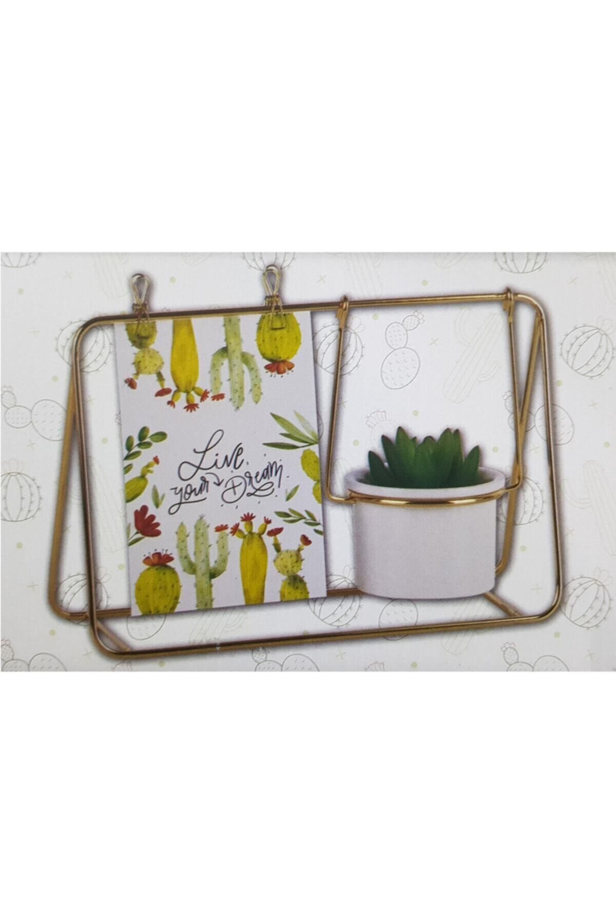Naturalove Dekoratif Metal Saksılık