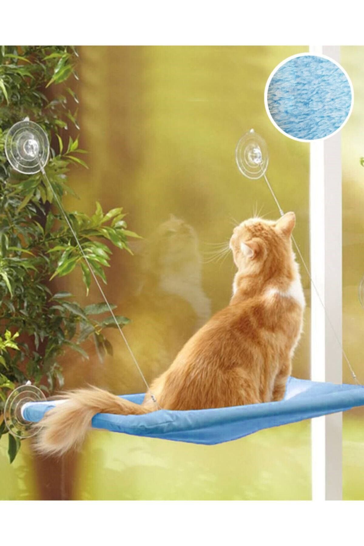 petulya Mavi Cama Yapışan Vantuzlu Peluş Kedi Yatağı