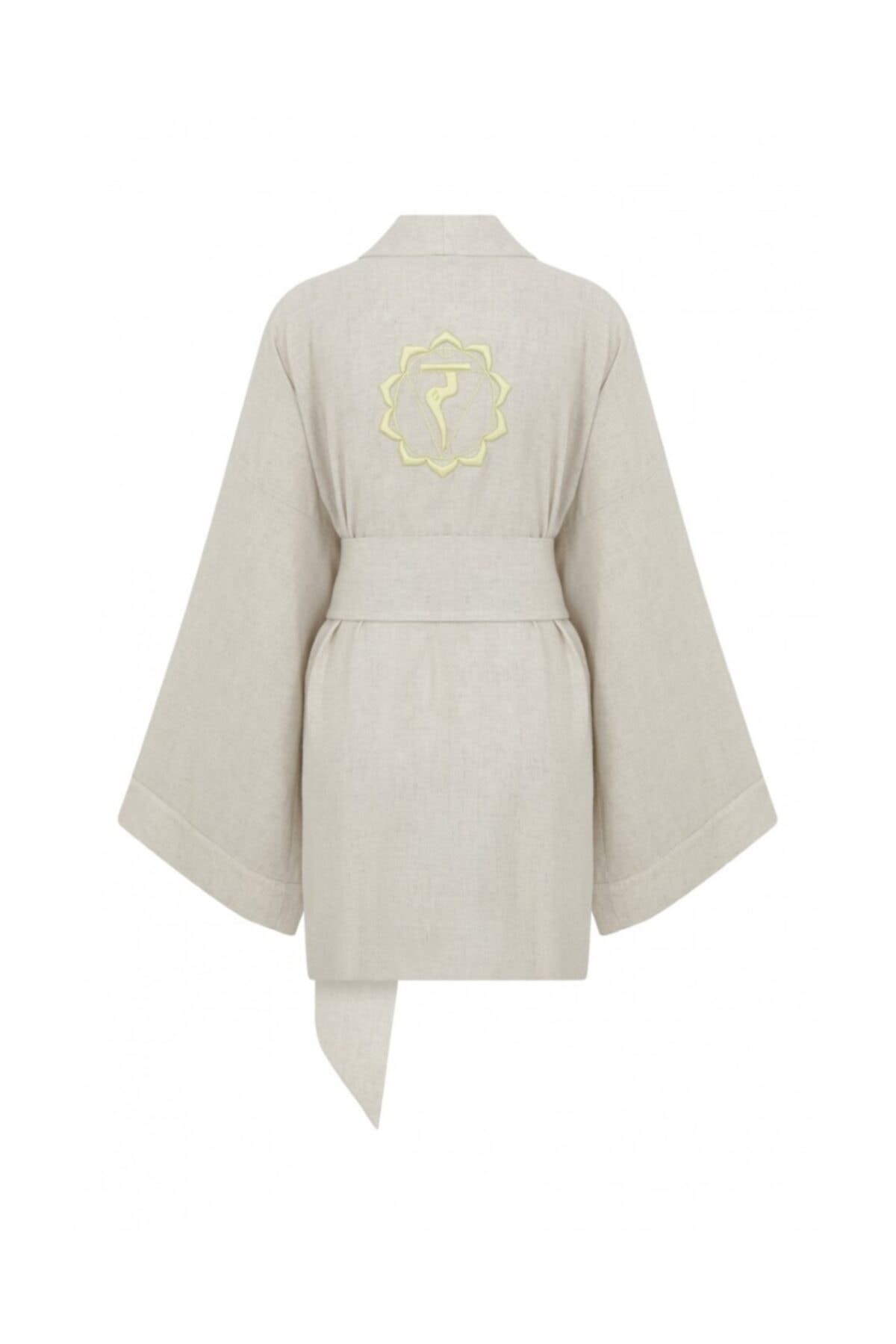 Saraswati Society Solar Plexus Chakra