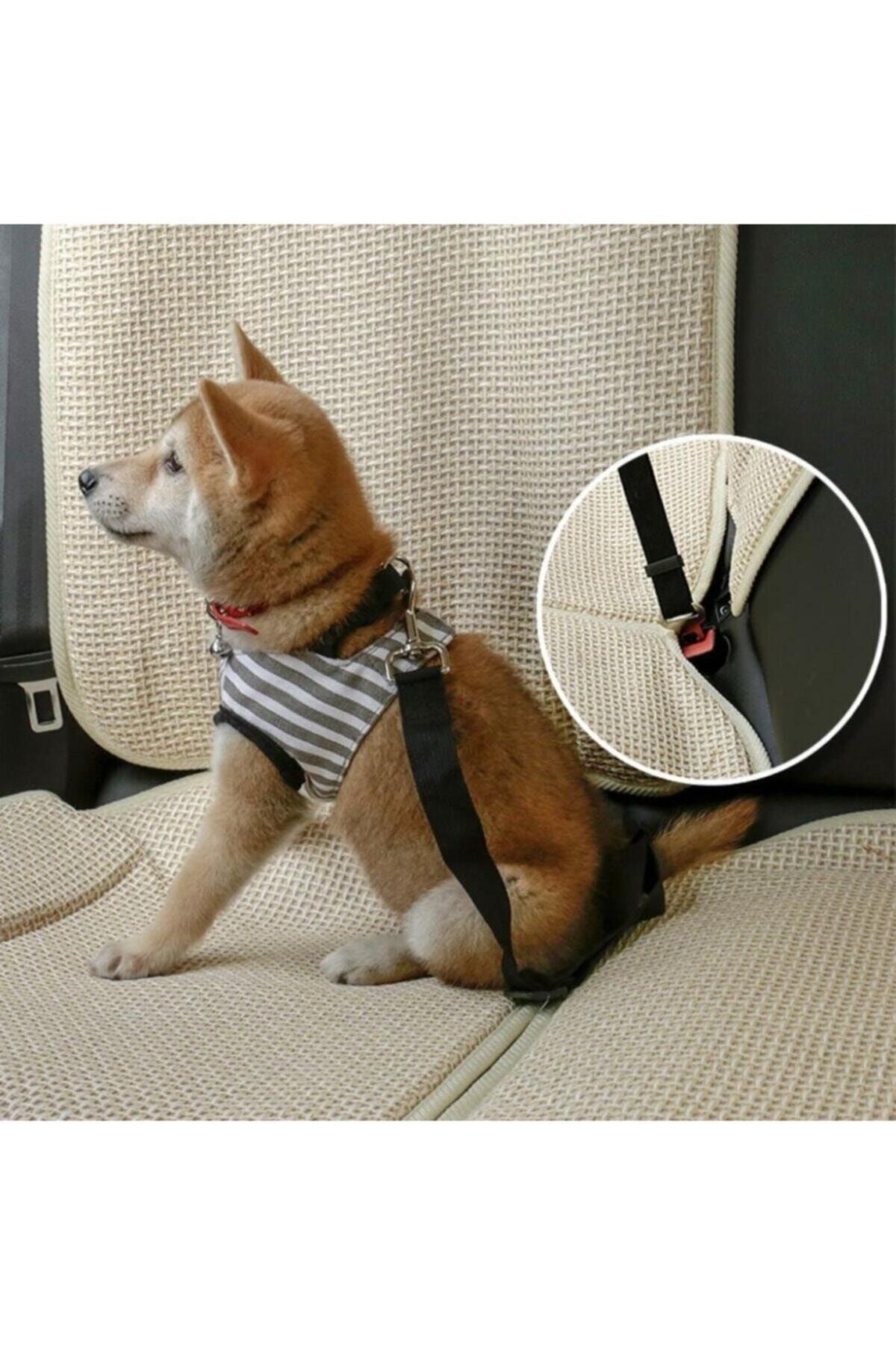 Wmoloxs Siyah Kedi Köpek Araç Emniyet Kemeri Tasma Için Ayarlanabilir Araba Evcil Hayvan Oto Tasması