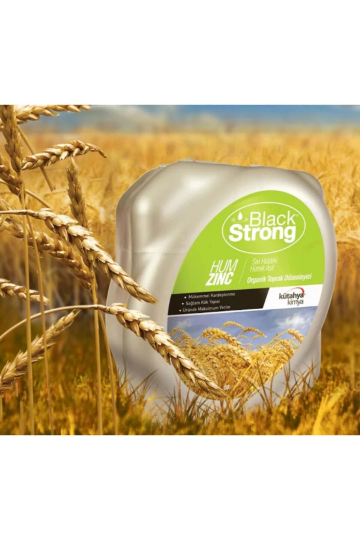 Blackstrong Leonardit Sıvı Gübre 20 lt