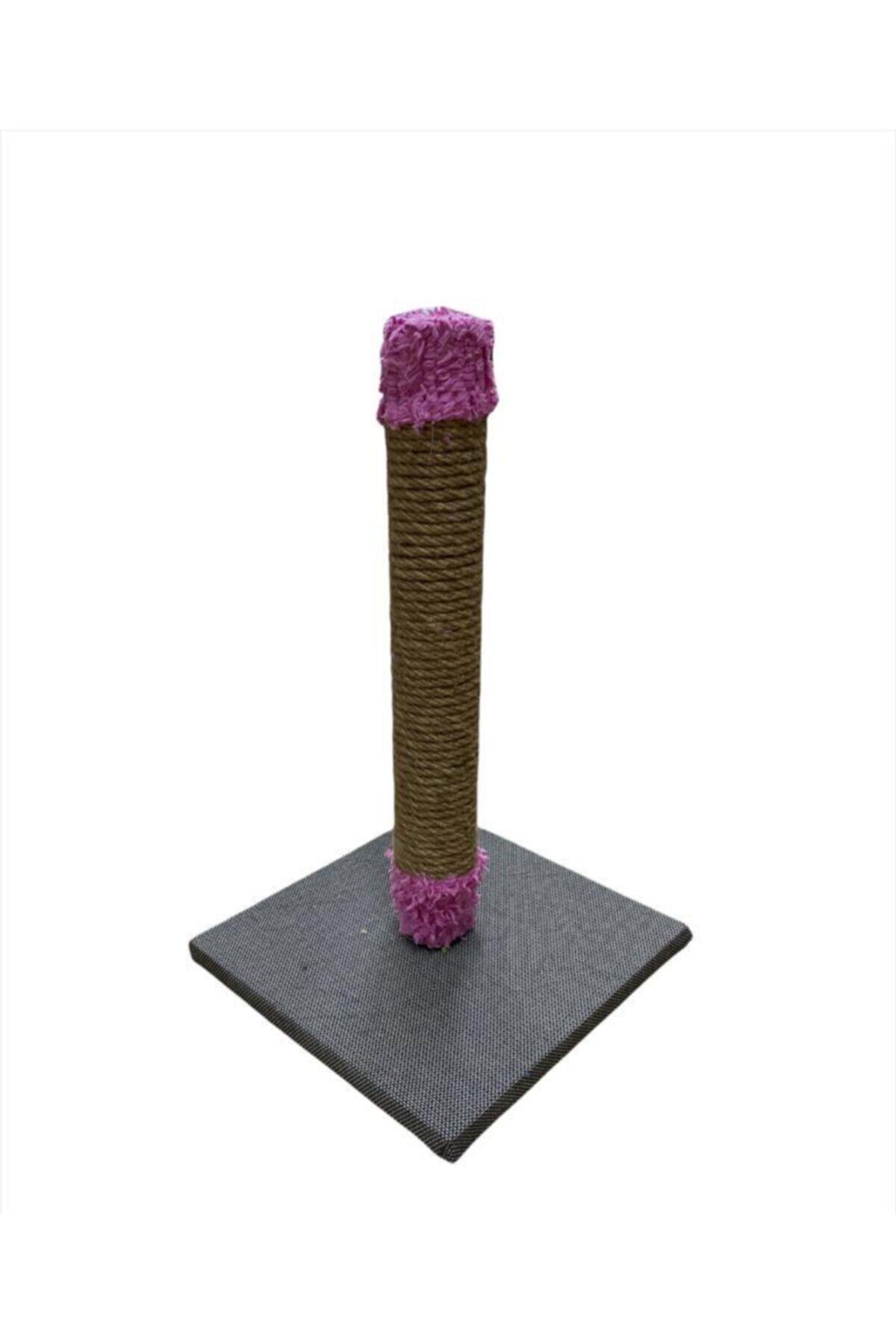 Pati Gurme Kedi Tırmalama Tahtası 50 cm