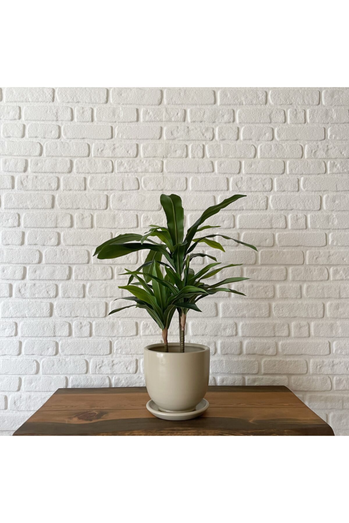 odka Saksı Tabaklı 25cm Taş Renk