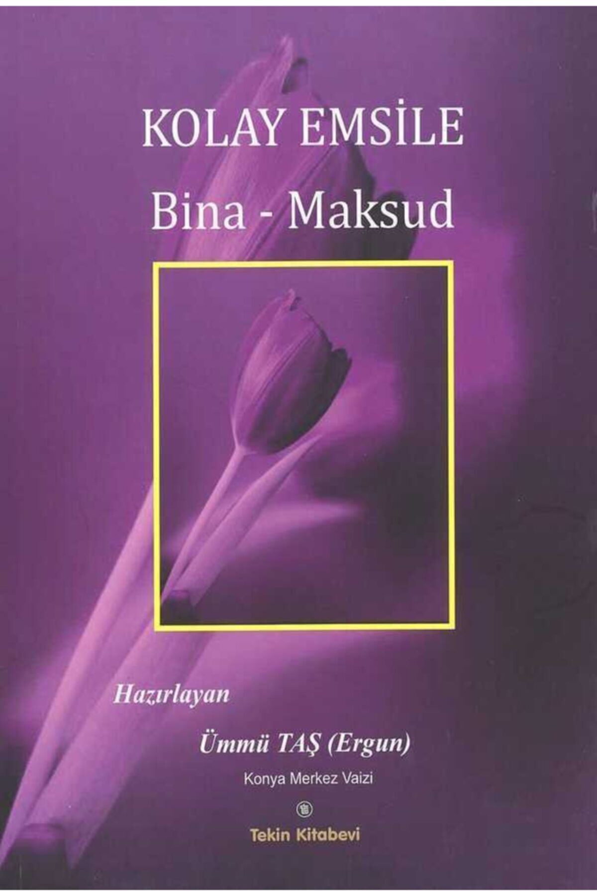 Tekin Kitabevi Kolay Emsile Bina-maksud