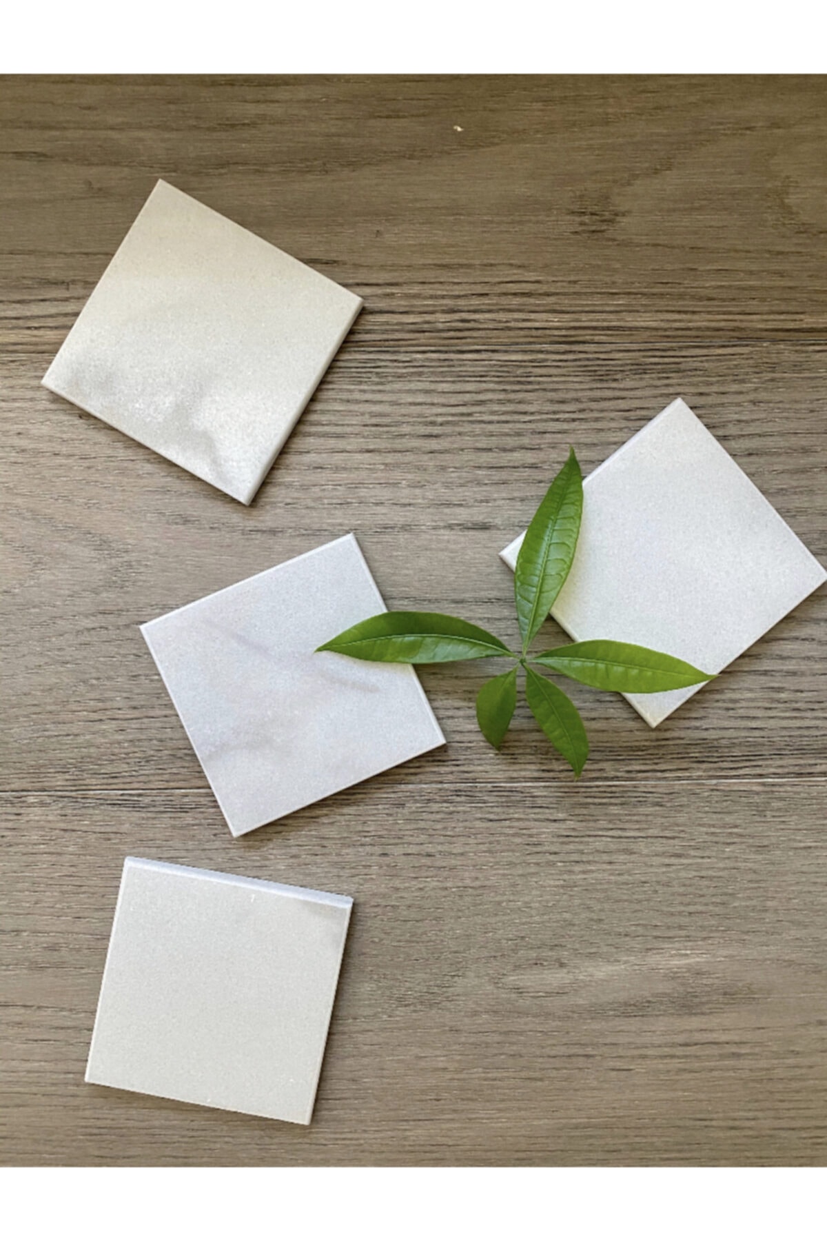 LENA 4’lü 1x10x10 Cm Beyaz Mermer Doğaltaş Bardak Altlığı