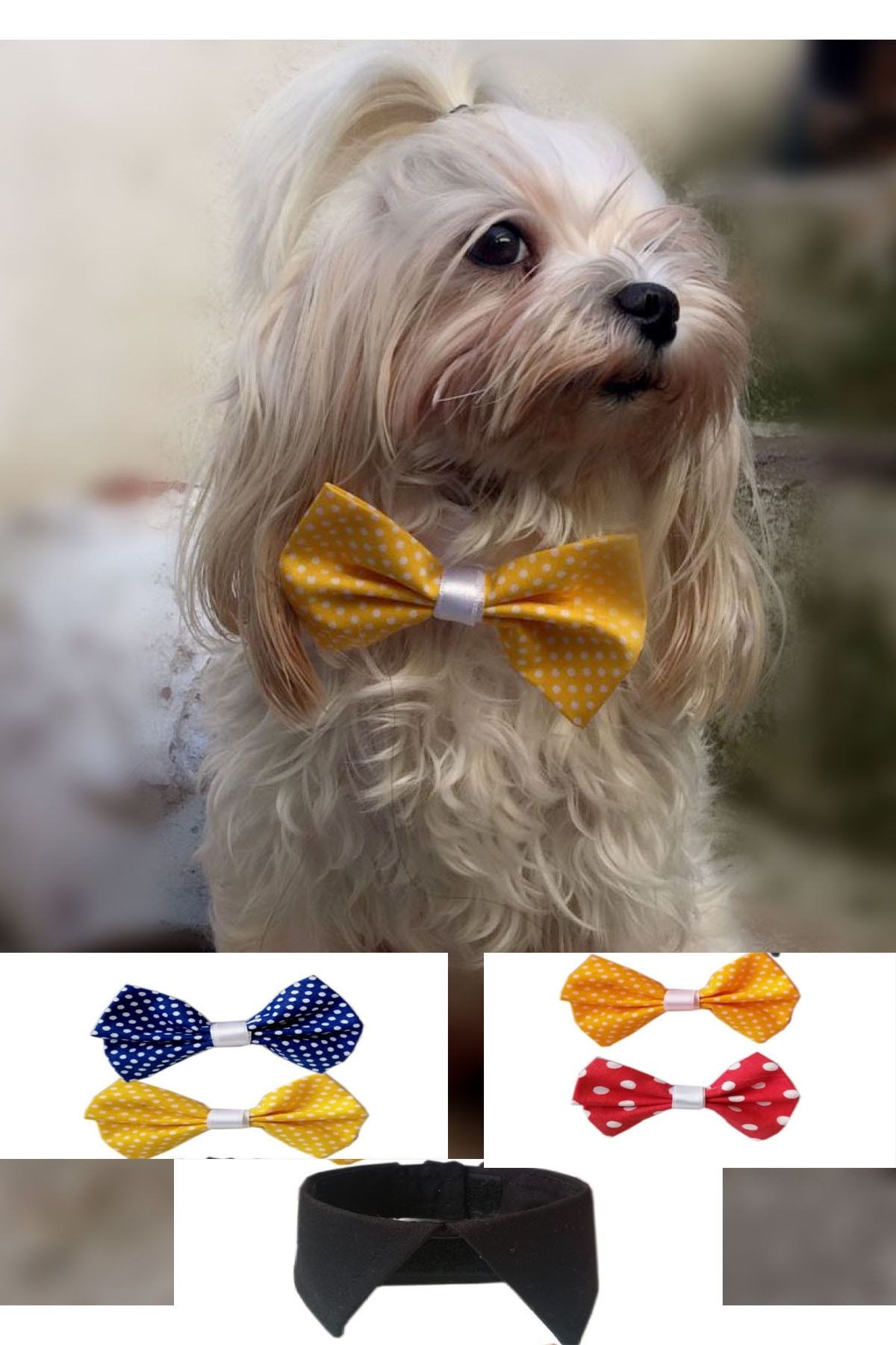PETITE 4 Papyon Ve Yaka Kedi Köpek Kıyafeti (BEYAZ) Set