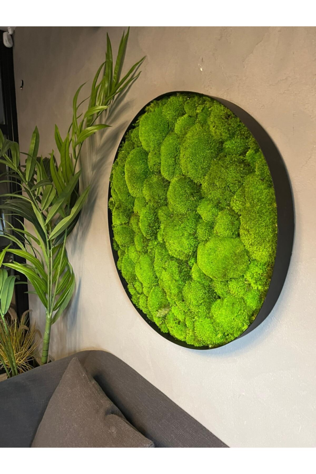 Botanical Art Gallery TDA The Sudd Hıghland Mumyalanmış Pole Moss Çerçeveli Tablo Yosun Duvar Paneli Q 70cm