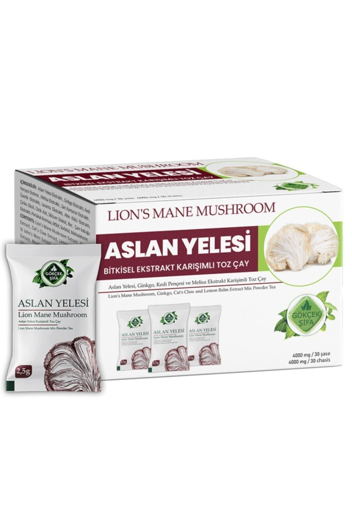 Gökçek Şifa Aslan Yelesi Ekstrakt Karışımı - 30 Saşe
