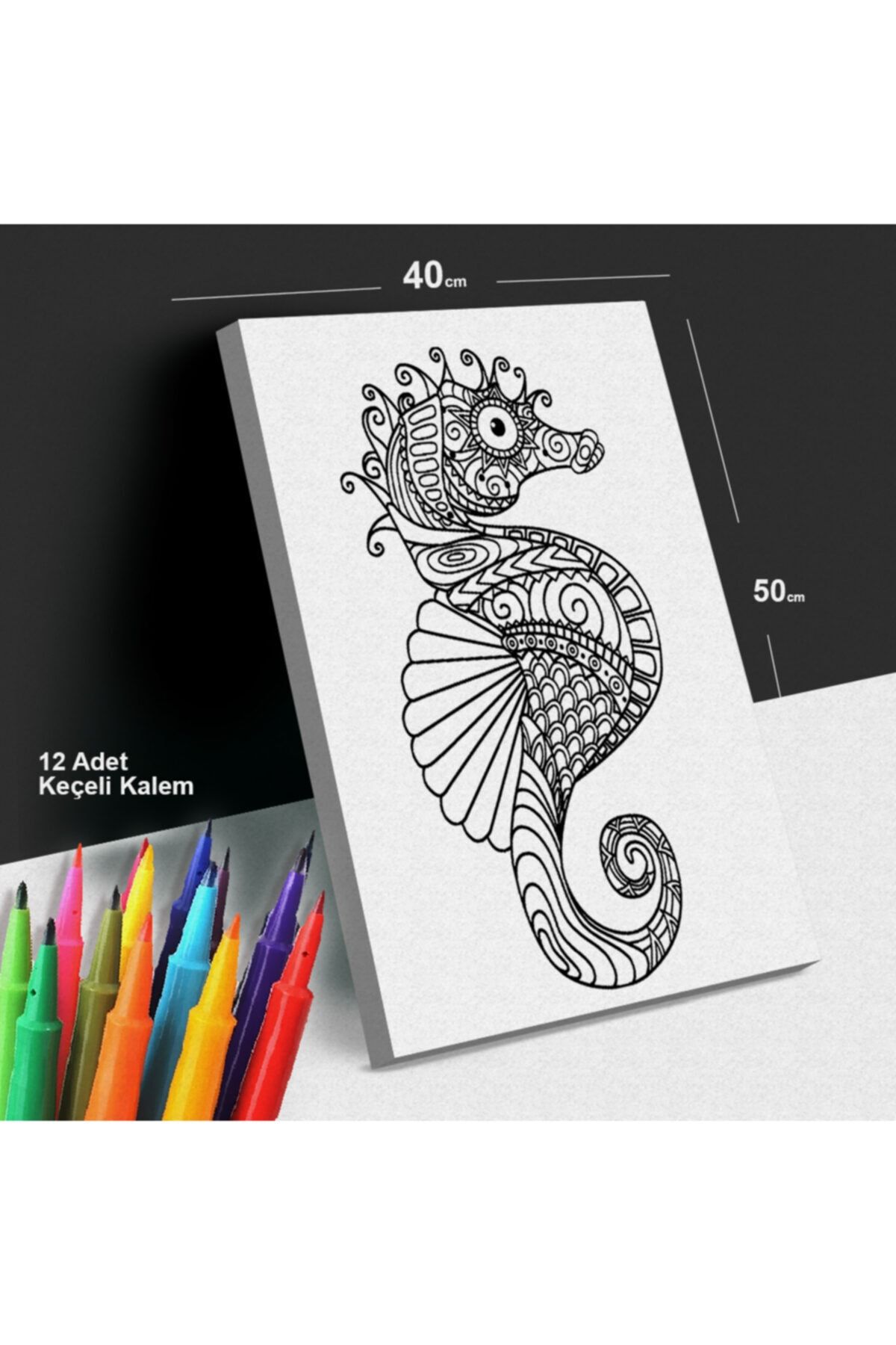Magic Art Tuval Deniz Atı Mandala Dekoratif Tablo Boyama Hobi Seti