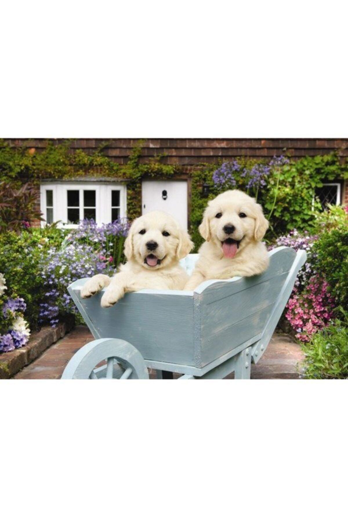 Anatolian Puzzle Puzzle Anatolian 260 Parça Bahçıvan Köpekler