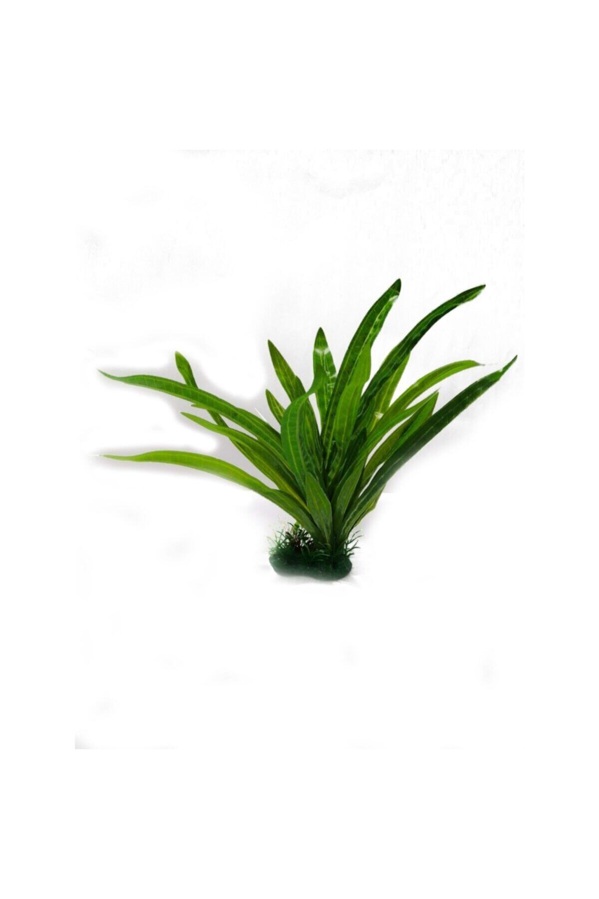 AquariumPlants Tls Plastik Akvaryum Bitkisi 30 Cm