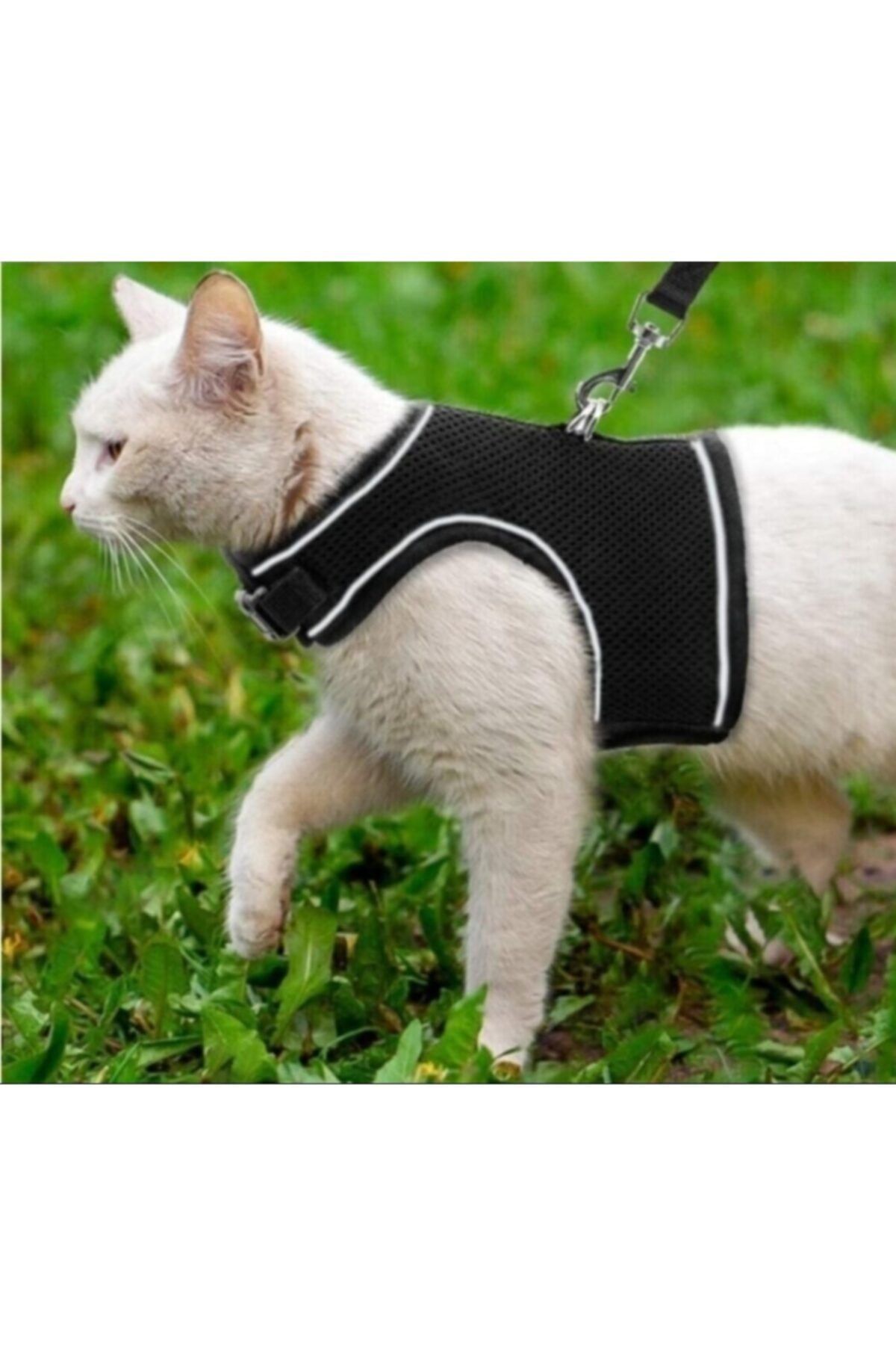 Minikpatilerpet Kaçış Önleyici Nefes Alan Kumaş Kedi Köpek Göğüs Tasması Seti Siyah