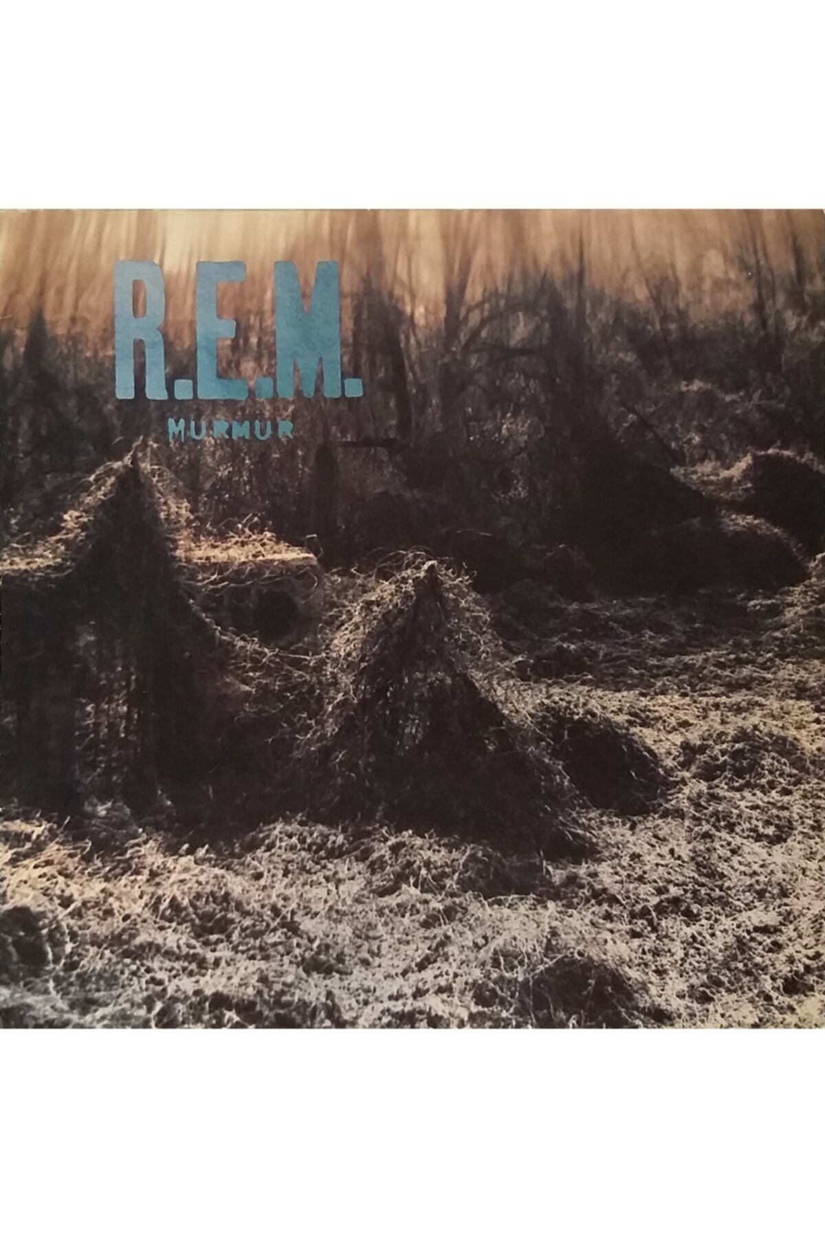 RNBW45 R.e.m. - Murmur