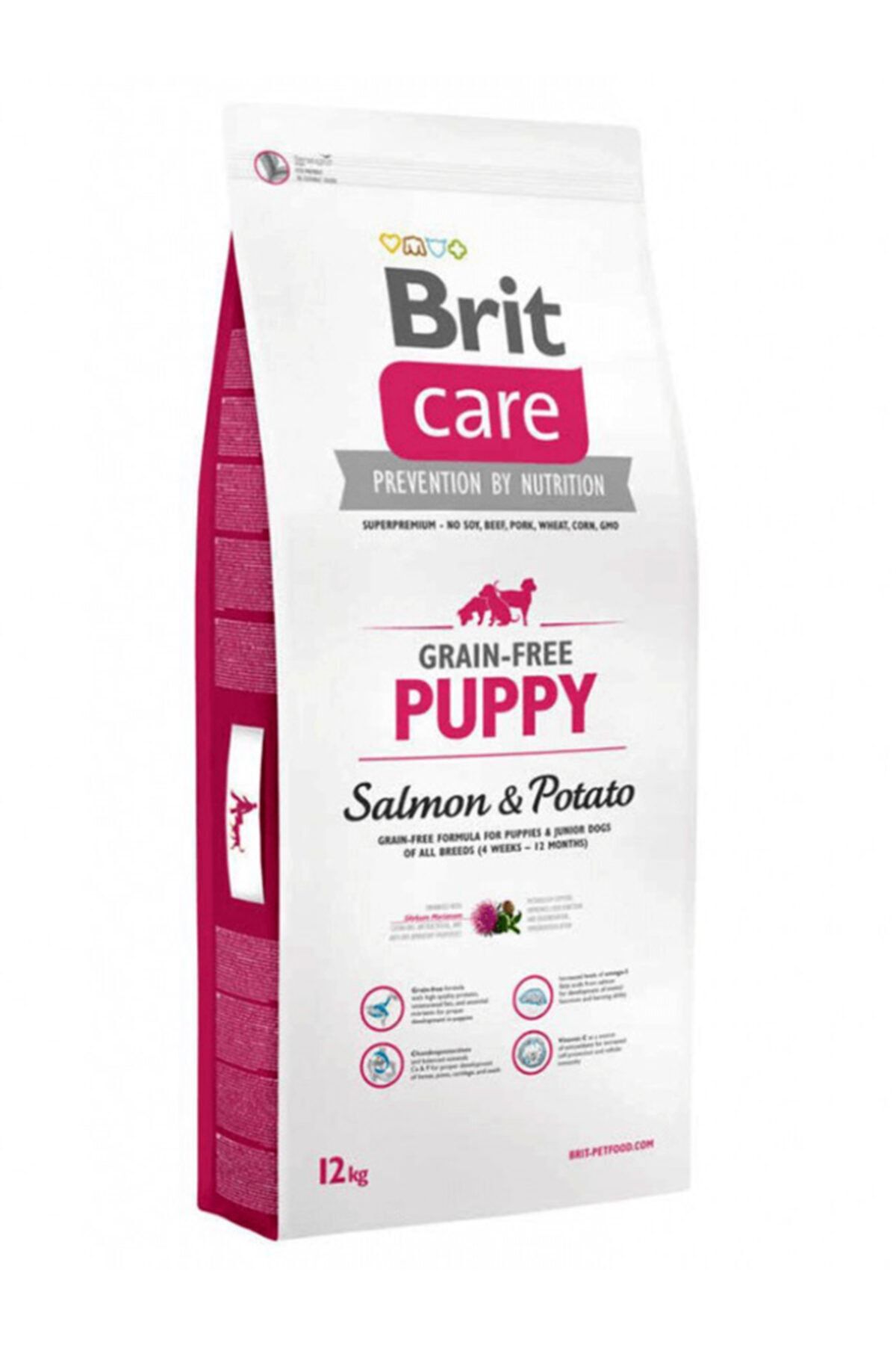 Brit Care Puppy Tahılsız Somonlu Küçük ve Orta Irk Yavru Köpek Maması 12 kg