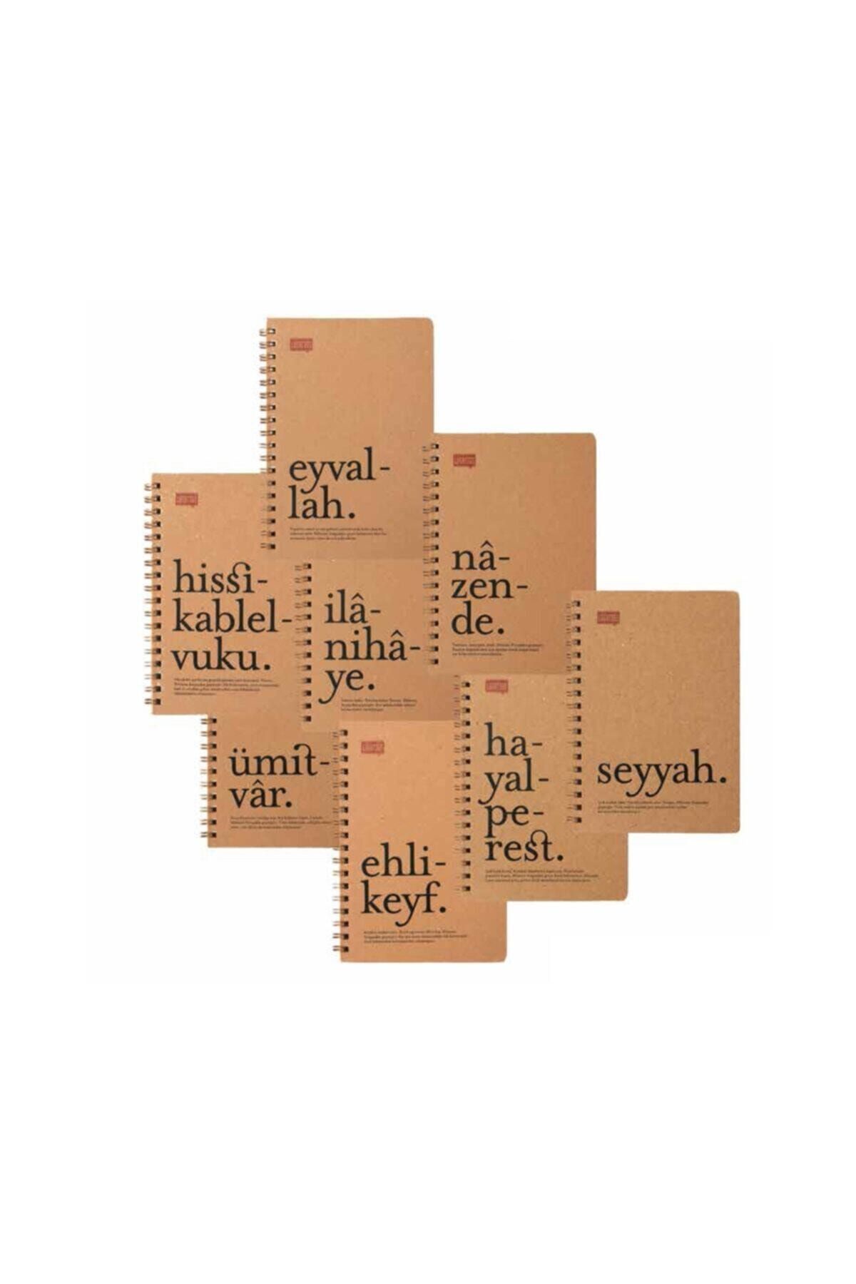 Lûgat365 Lugat365 Noktalı Sert Kapak Defter 100 Yp. 17x24 Cm (ehlikeyf)
