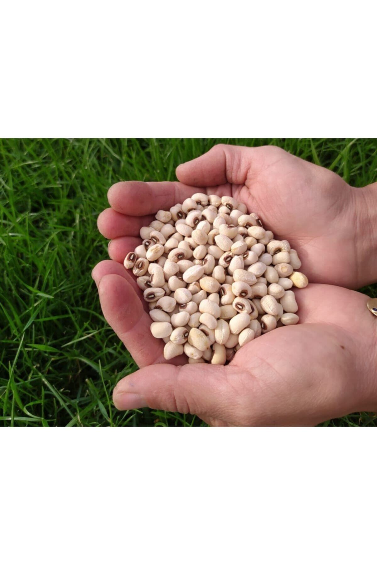 Karaot Organik Ürünler Kuru Börülce Atalık Tohum 500gr