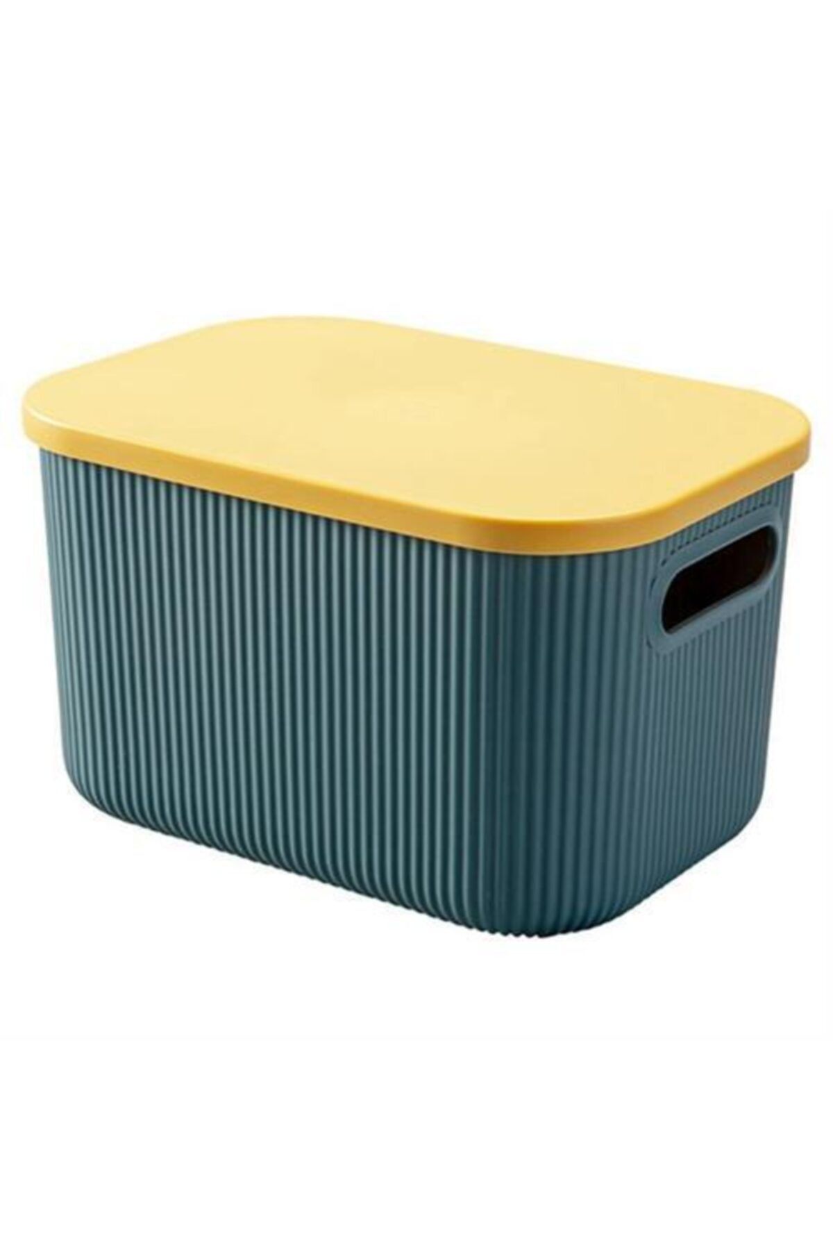 HomeCare Conrad Kapaklı Organizer Kutu 715604