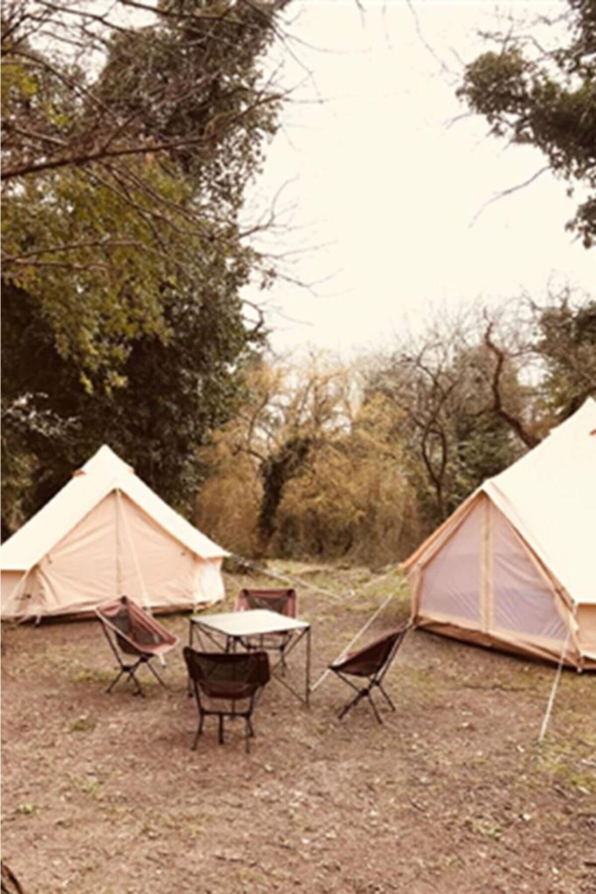 CAMPOUT Kanvas Kamp Çadırı 4 Mt.