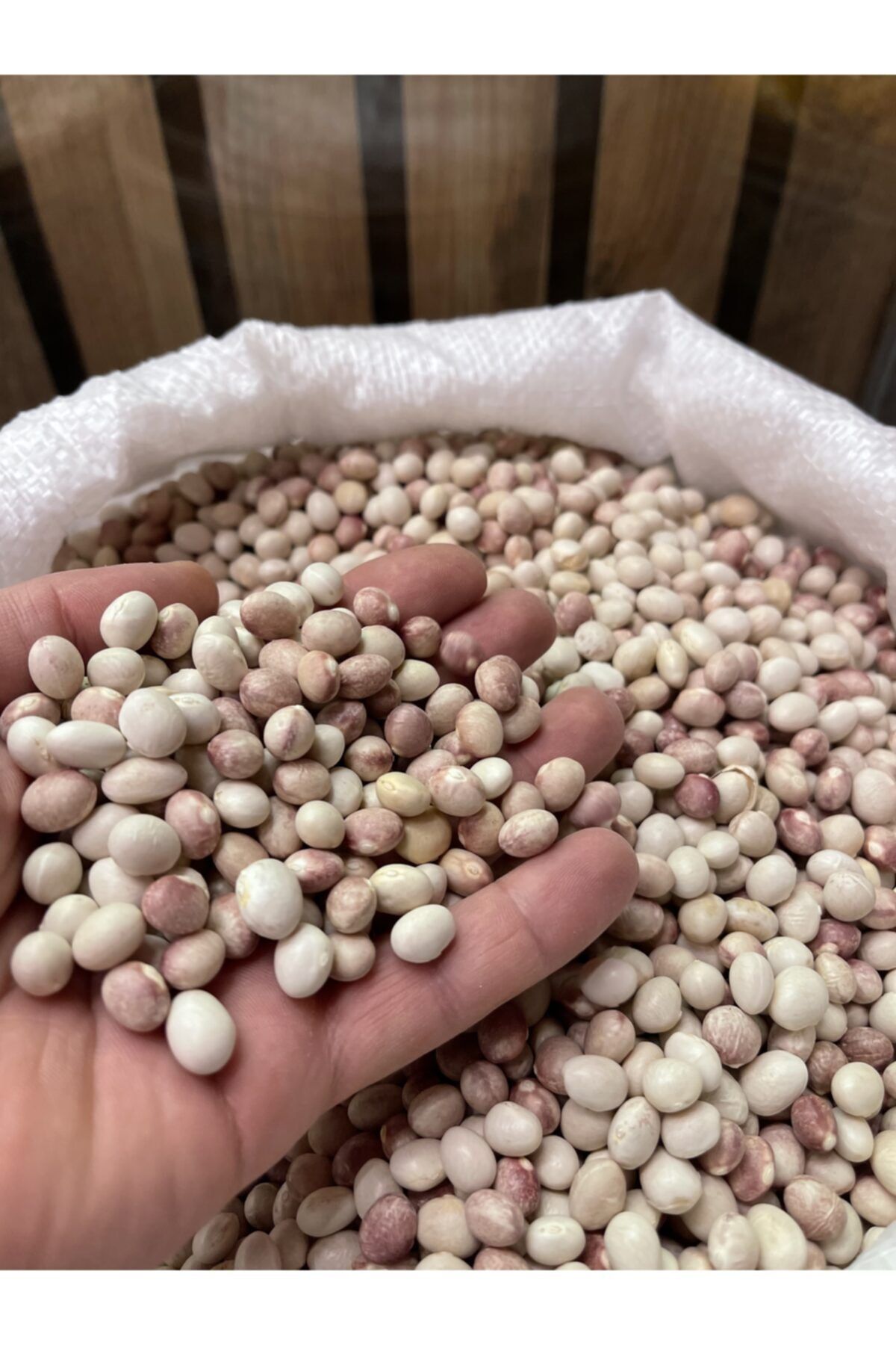 KÖYLÜM ÇİFTLİK MAÇKA ŞARKÜTERİ Erzurum Ispir Fasülyesı % 100 Doğaldır 1 KG