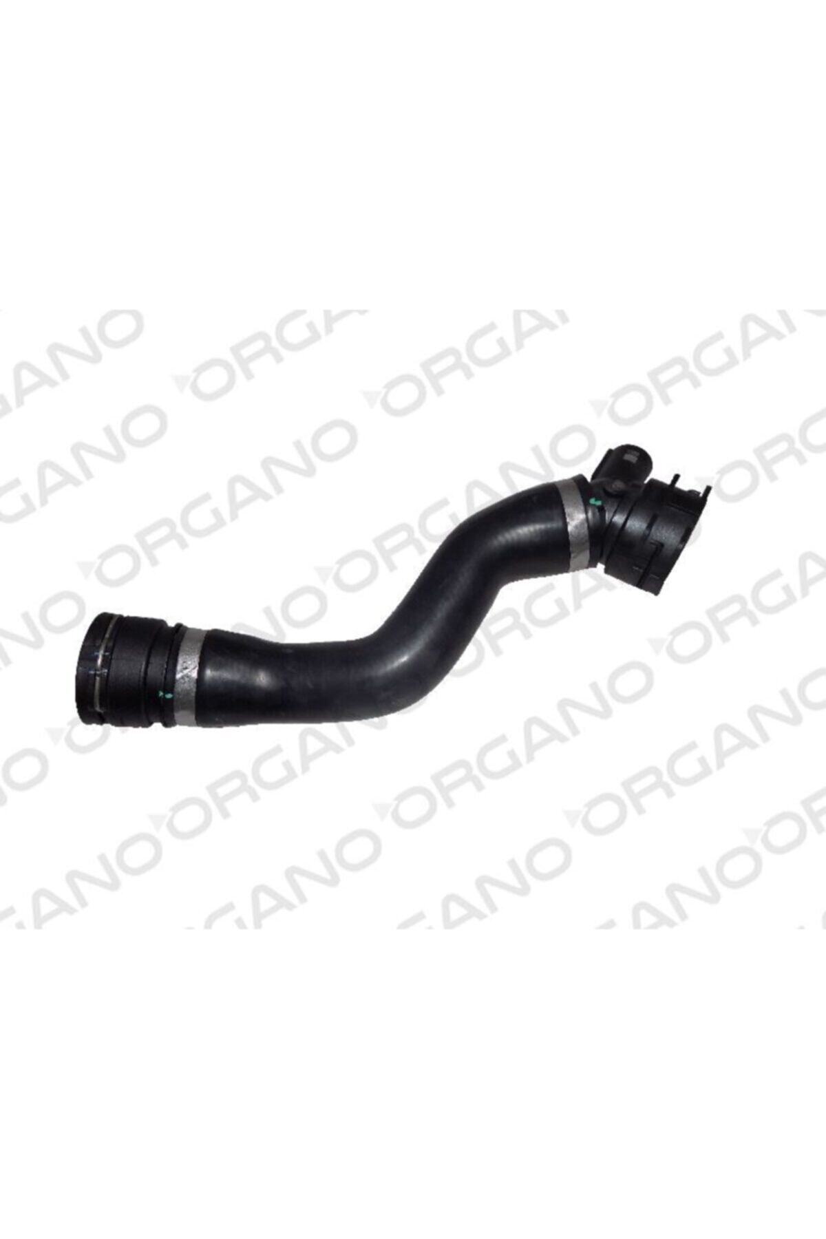 ÖZGÜÇYEDEK Radyator Alt Hortumu Bmw E81 E87 N45 N