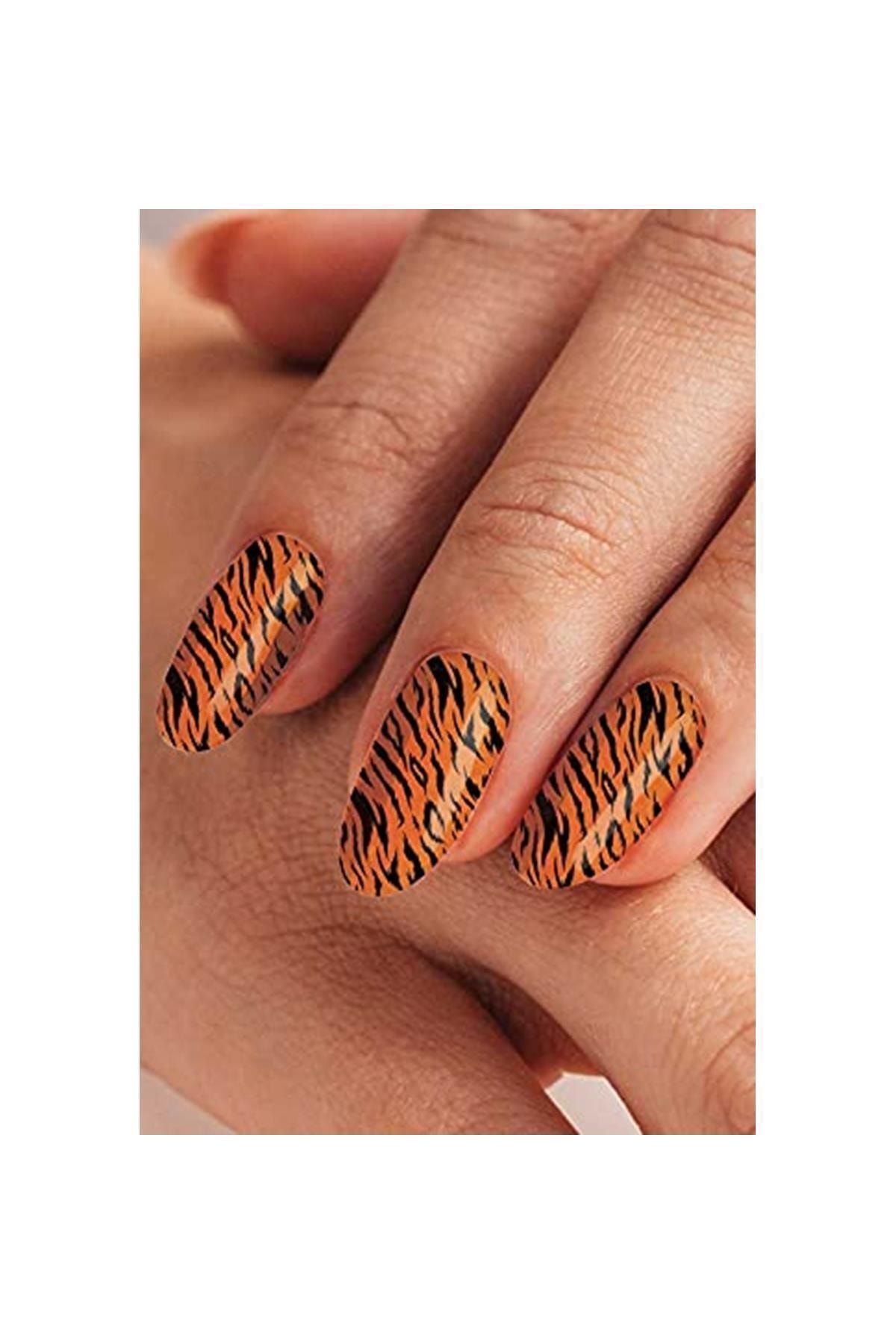BRCTOPTAN Marka: Renkli Zebra Tırnak Dövmesi, Tırnak Tattoo, Nail Art, Tırnak Sticker Kategori: Geçici Dövme