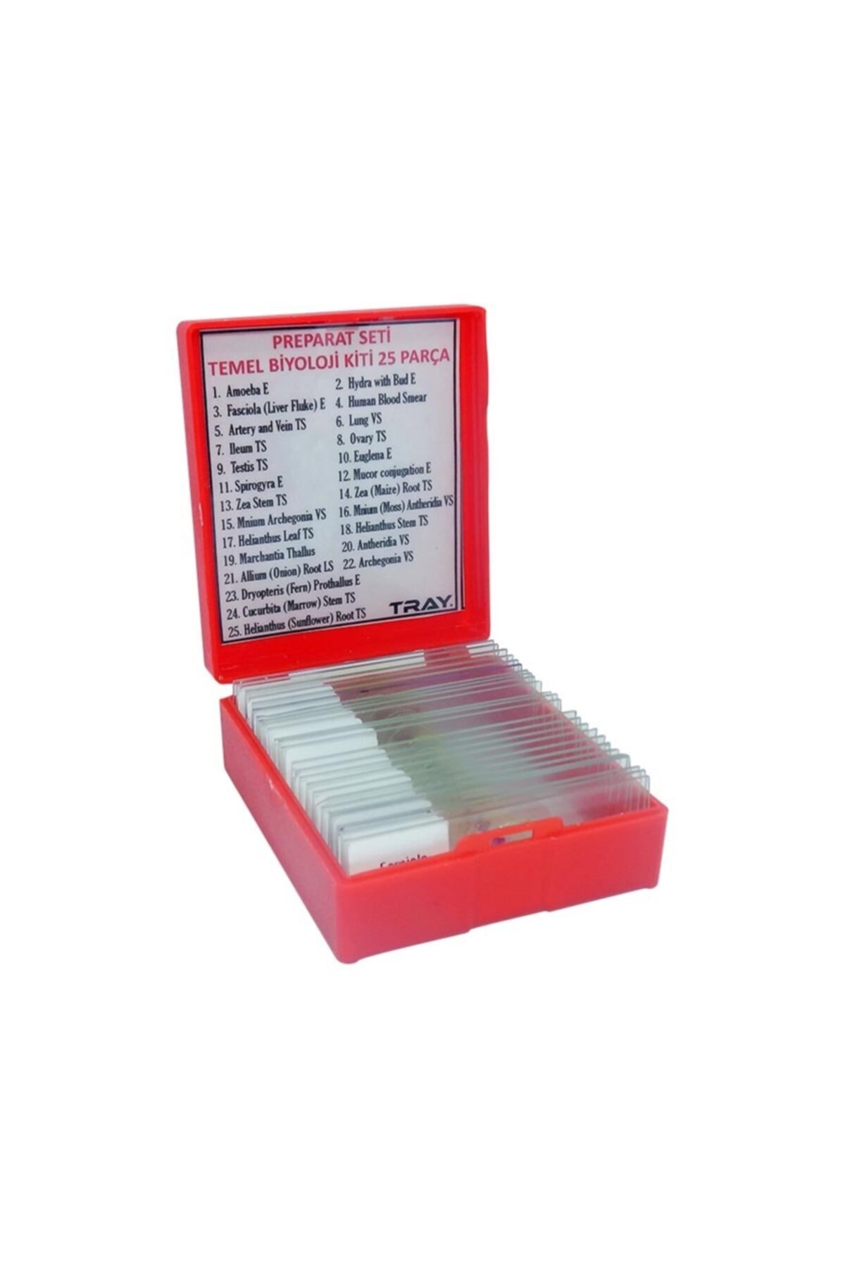 TRAY Preparat Seti Temel Biyoloji Kiti 25 Parça