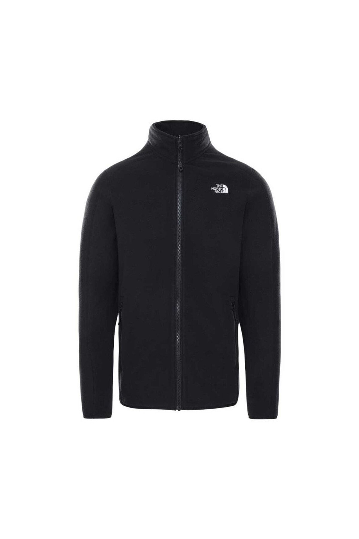 THE NORTH FACE Erkek Ceket